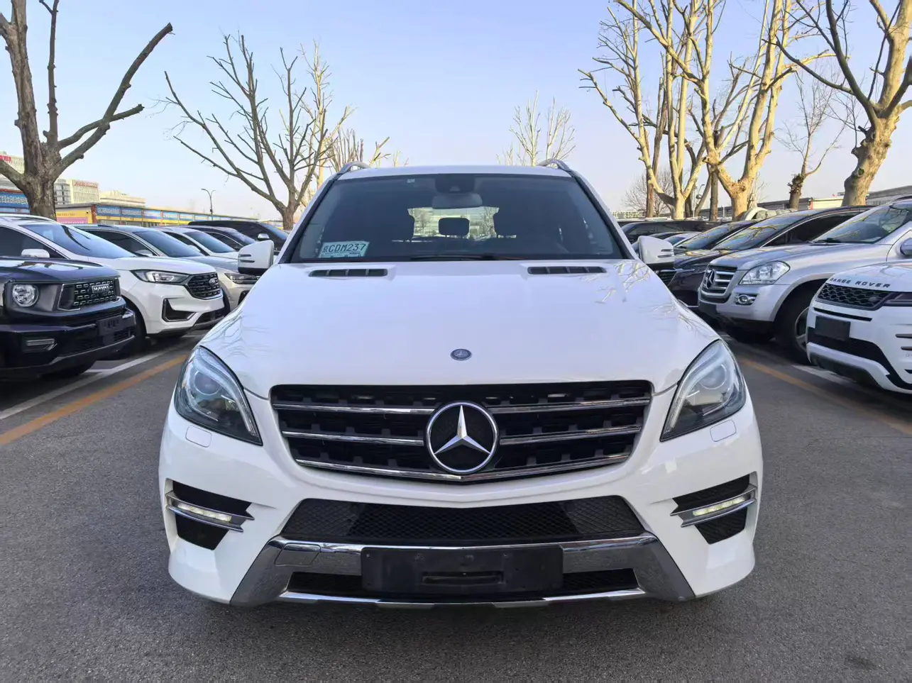 Mercedes-Benz Mercedes Benz M Class  из Китая