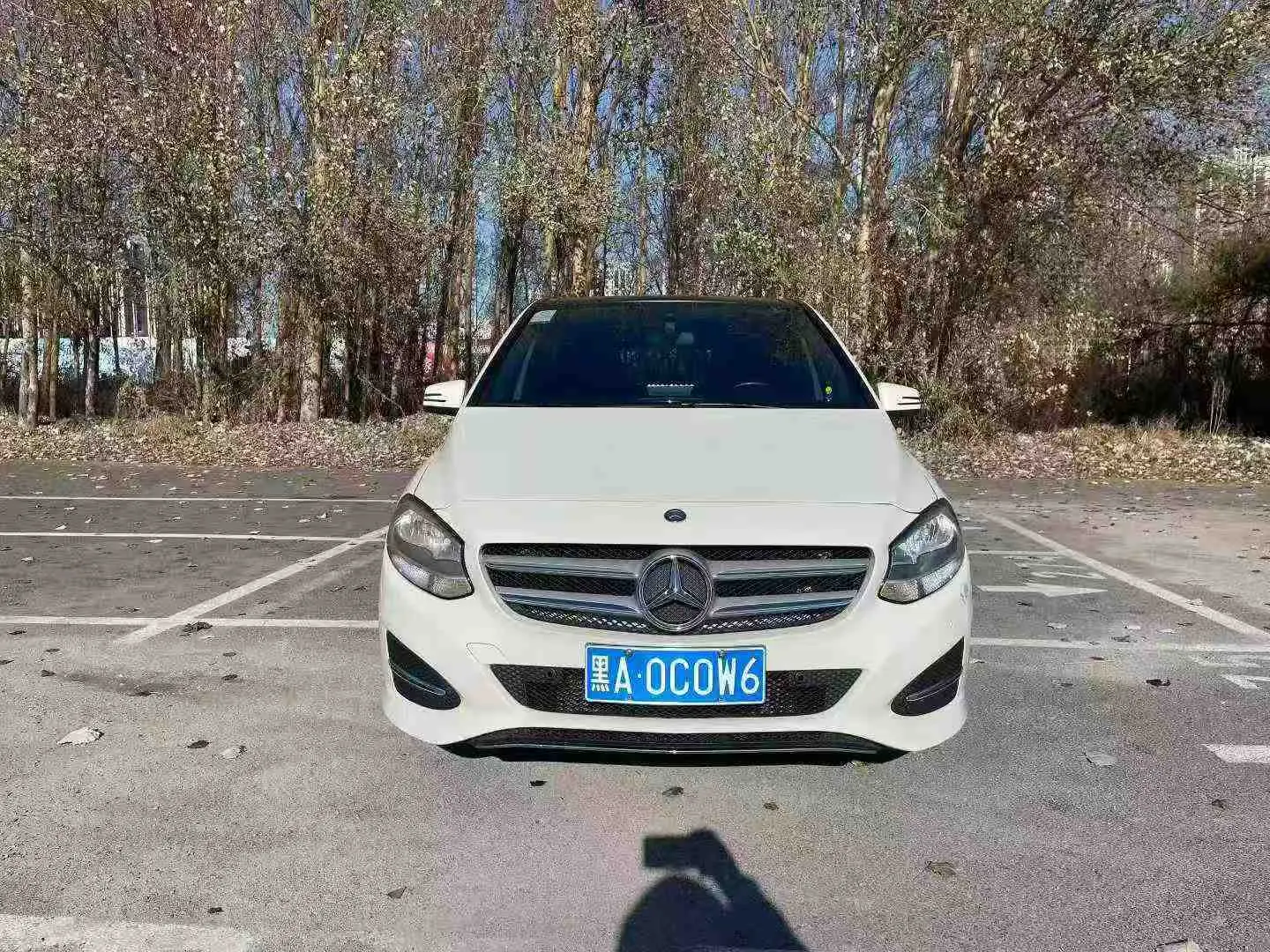 Mercedes-Benz Mercedes Benz B Class  из Китая