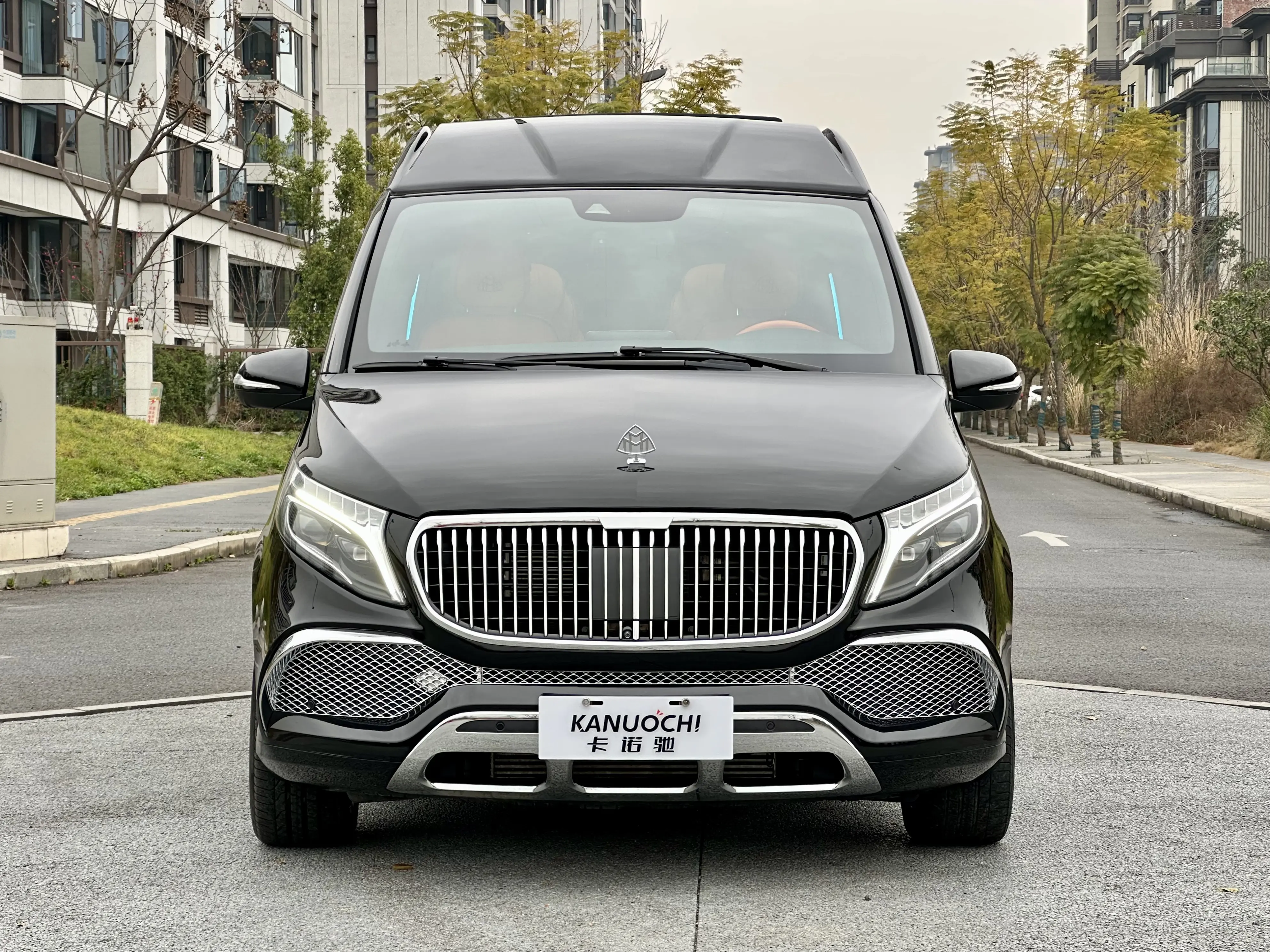 Mercedes-Benz Mercedes Benz V Class  из Китая