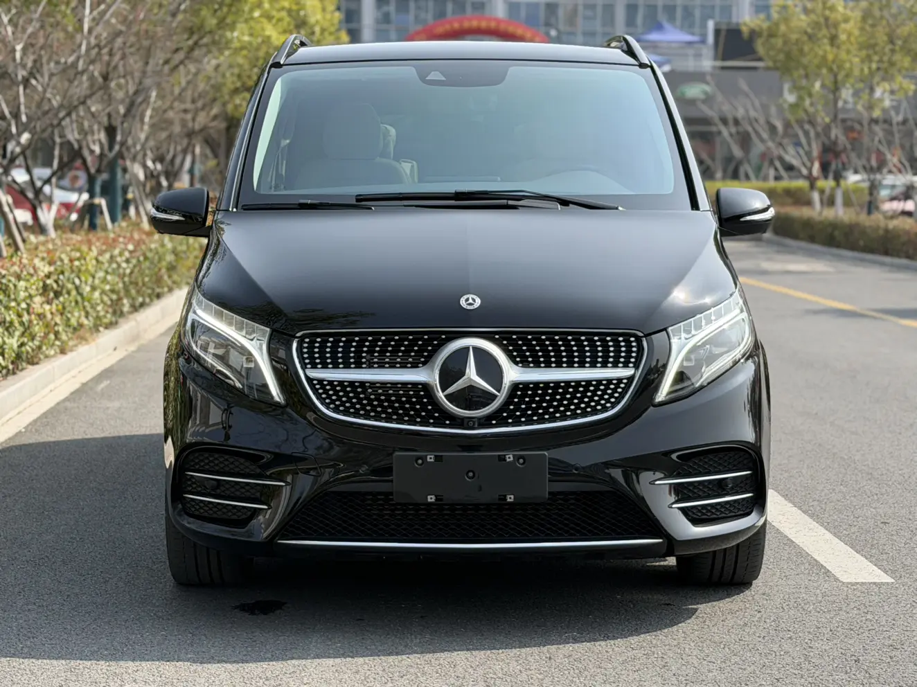 Mercedes-Benz Mercedes Benz V Class  из Китая