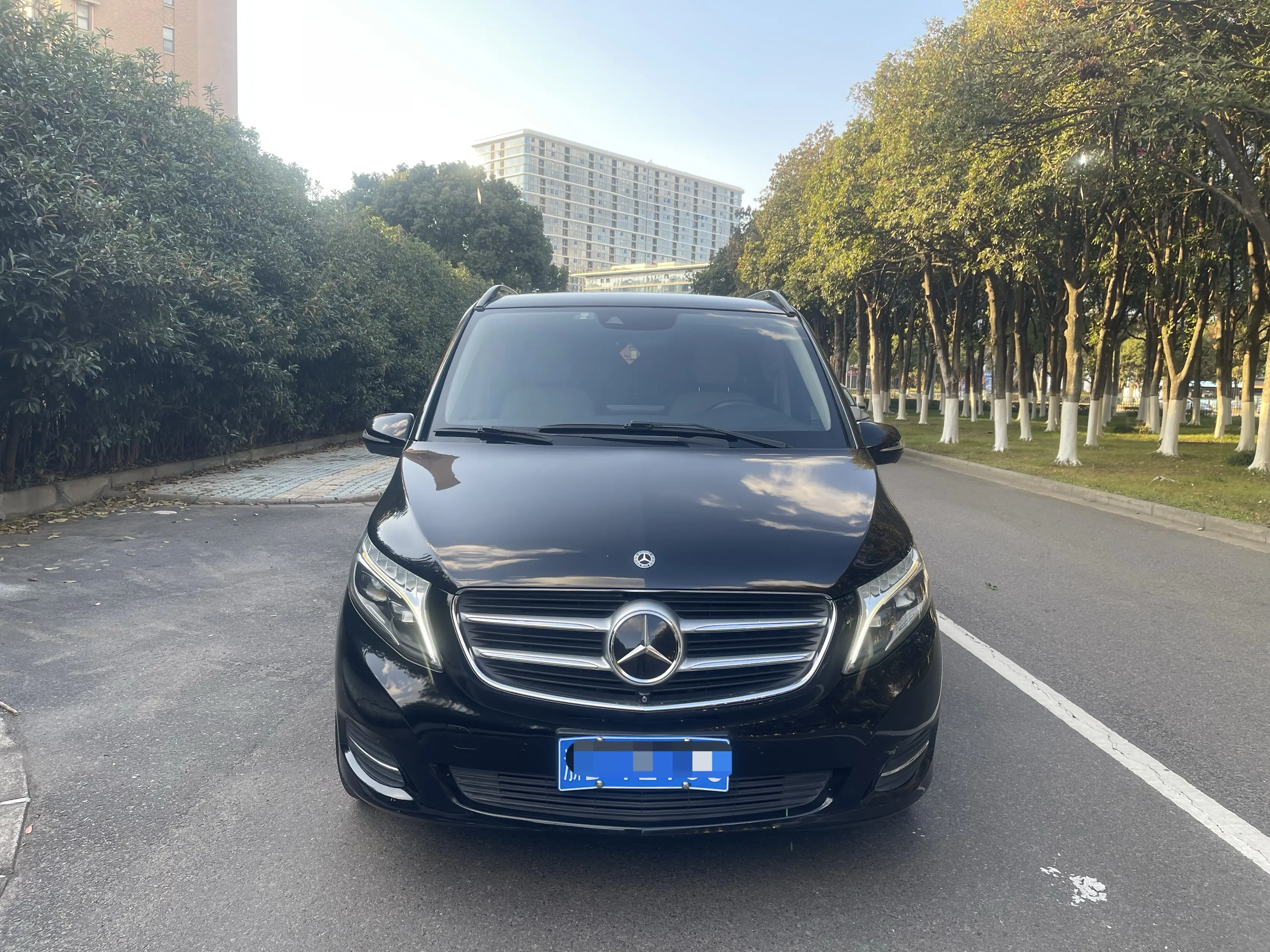 Mercedes-Benz Mercedes Benz V Class  из Китая