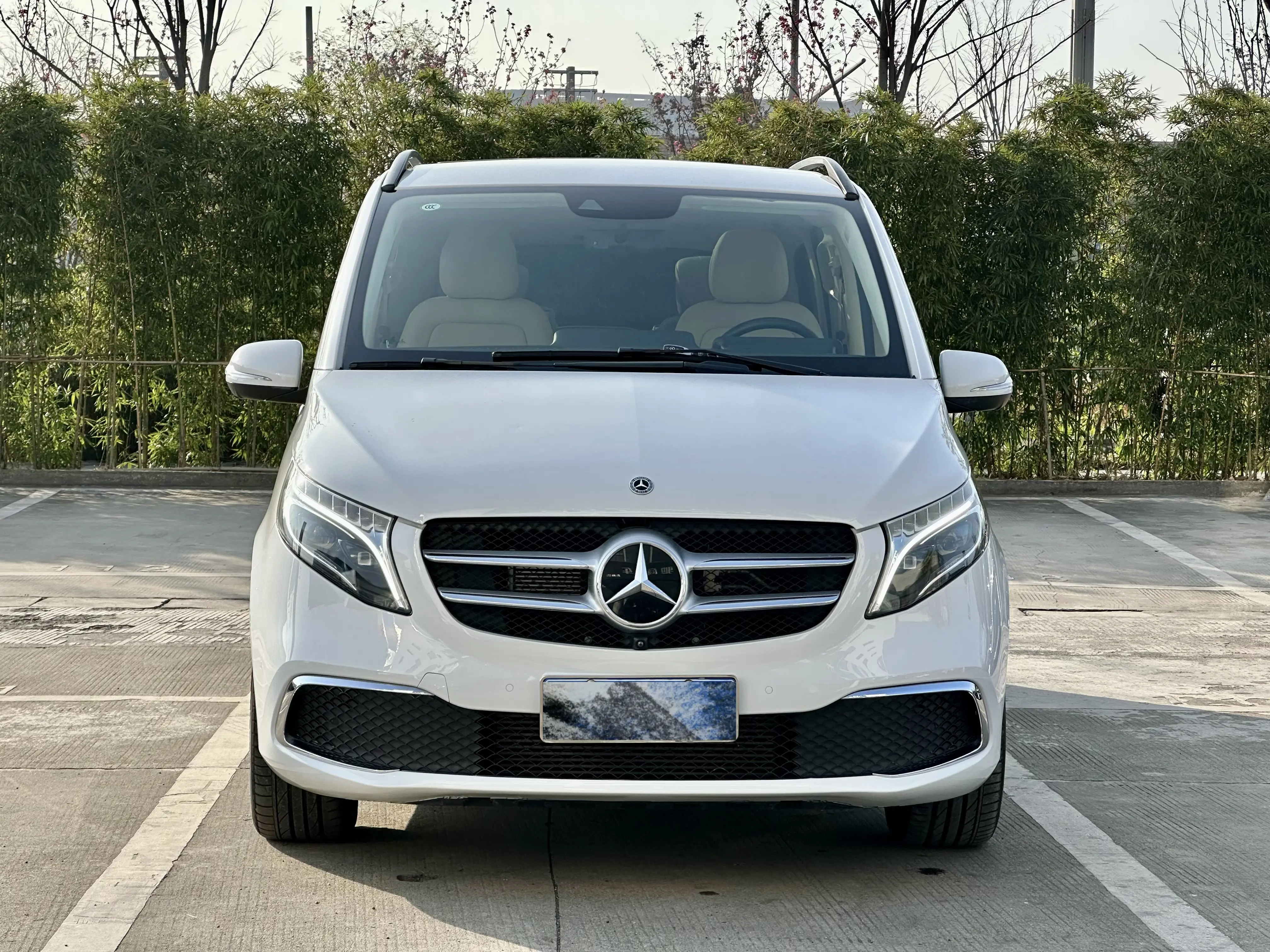 Mercedes-Benz Mercedes Benz V Class  из Китая