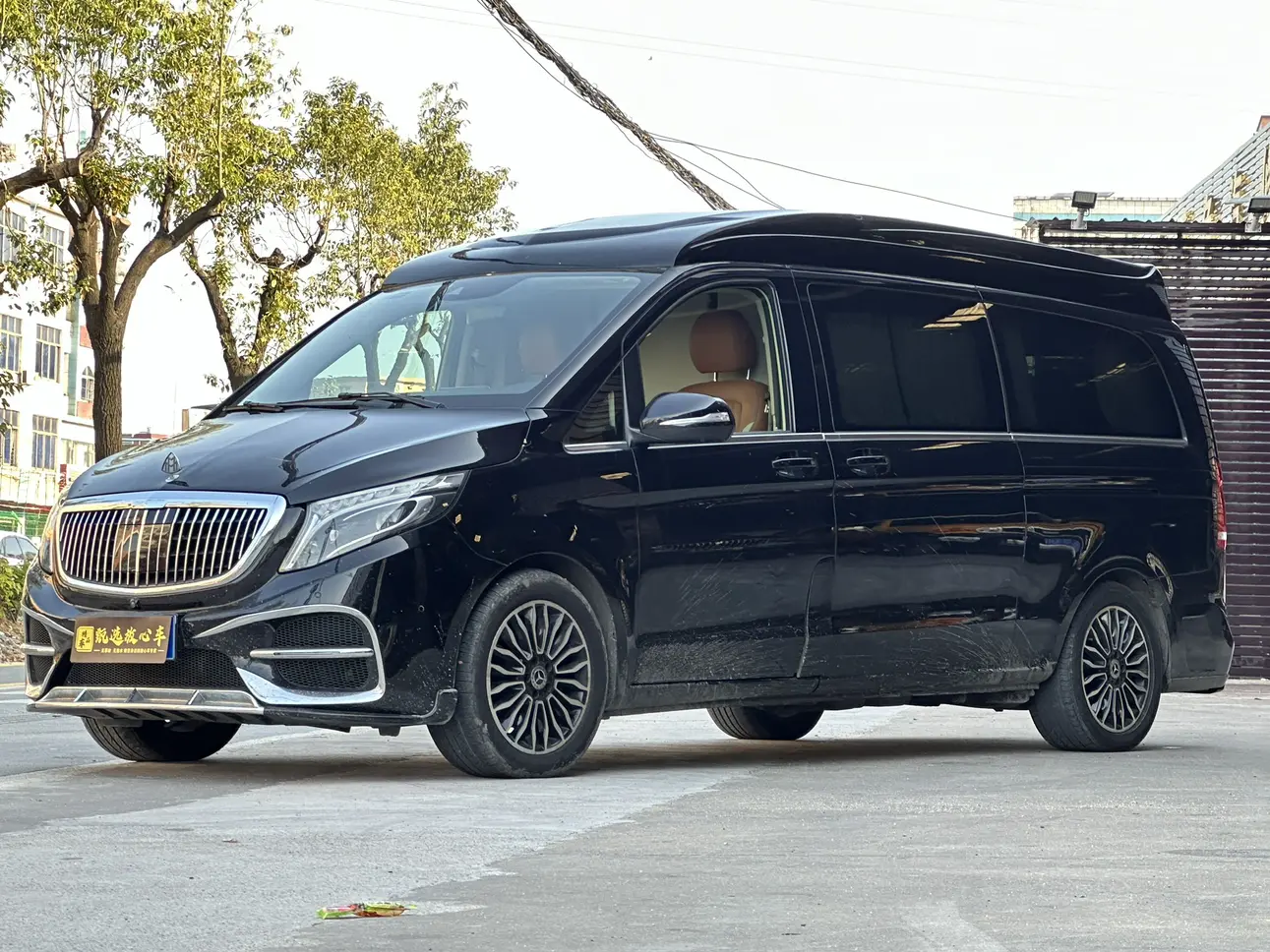 Mercedes-Benz Mercedes Benz V Class  из Китая