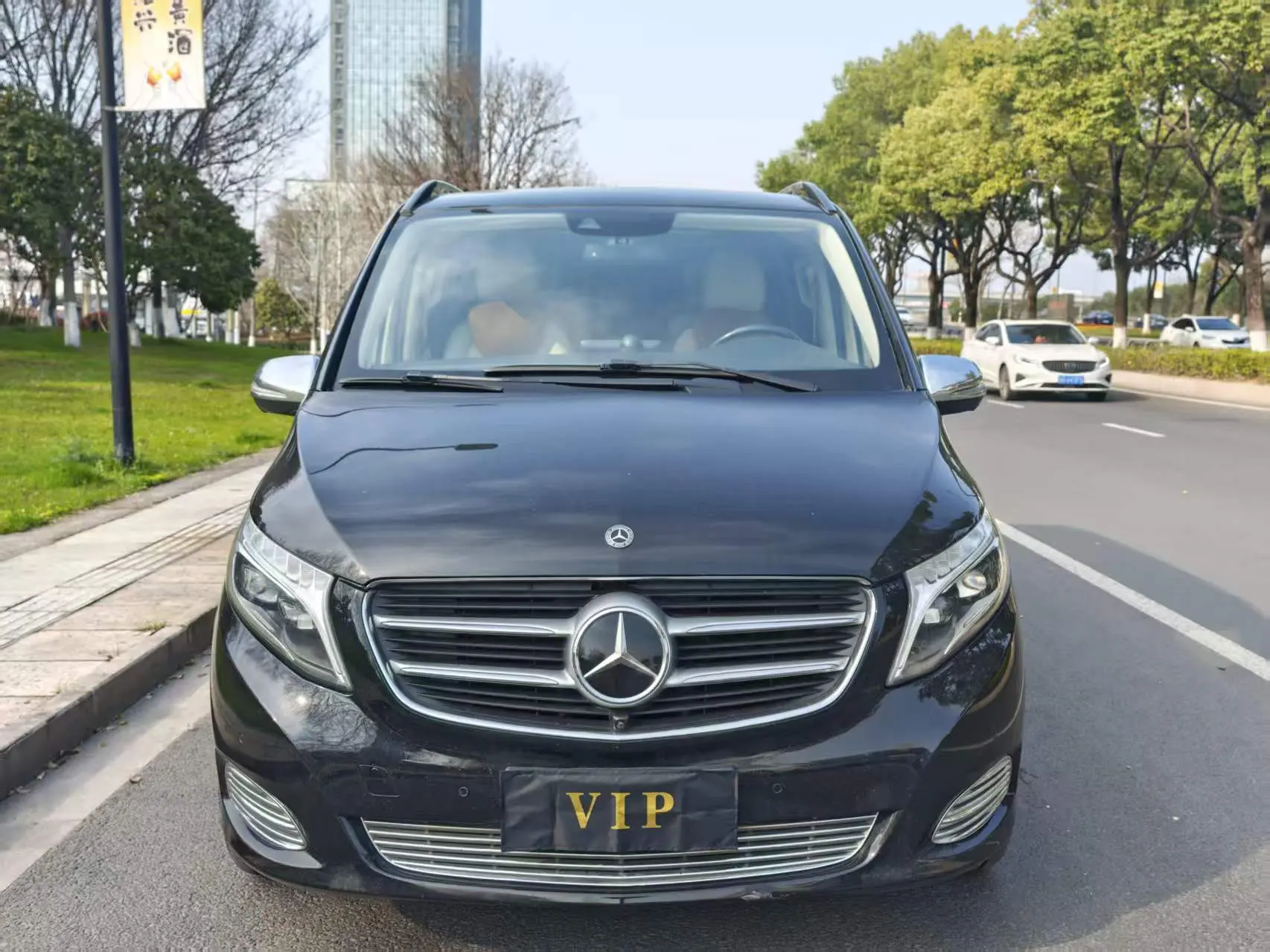 Mercedes-Benz Mercedes Benz V Class  из Китая