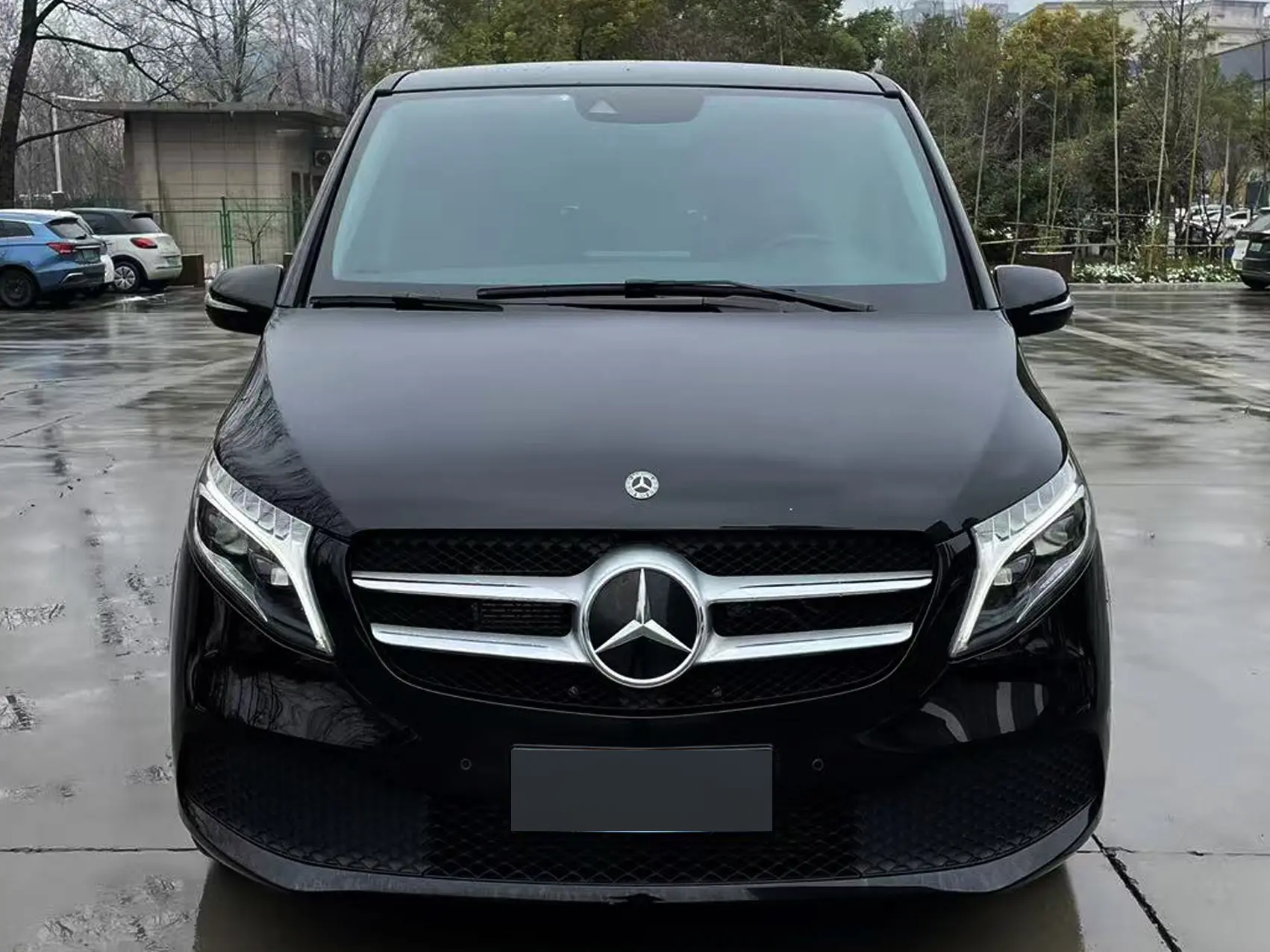 Mercedes-Benz Mercedes Benz V Class  из Китая