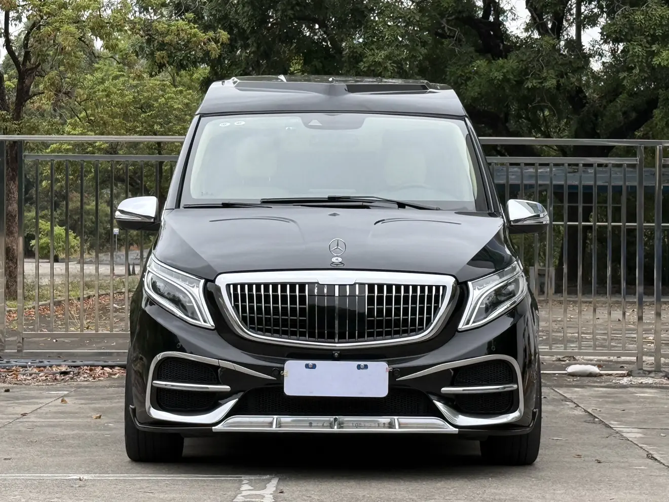 Mercedes-Benz Mercedes Benz V Class  из Китая