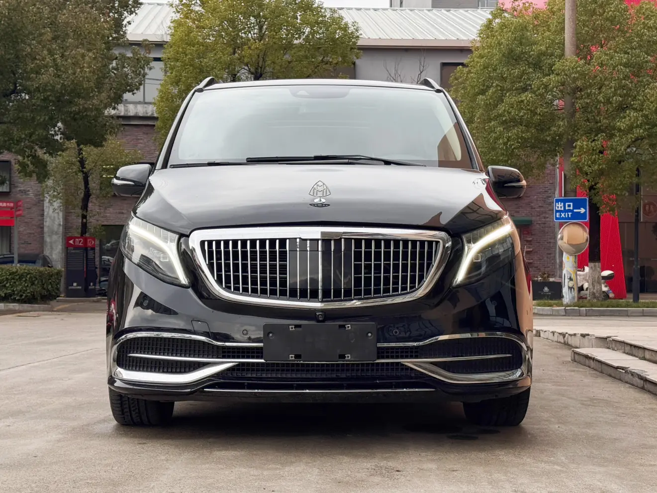 Mercedes-Benz Mercedes Benz V Class  из Китая