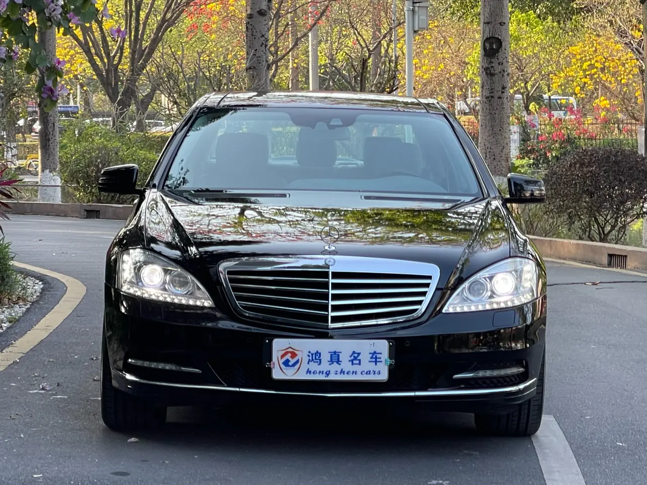 Mercedes-Benz Mercedes Benz S Class  из Китая