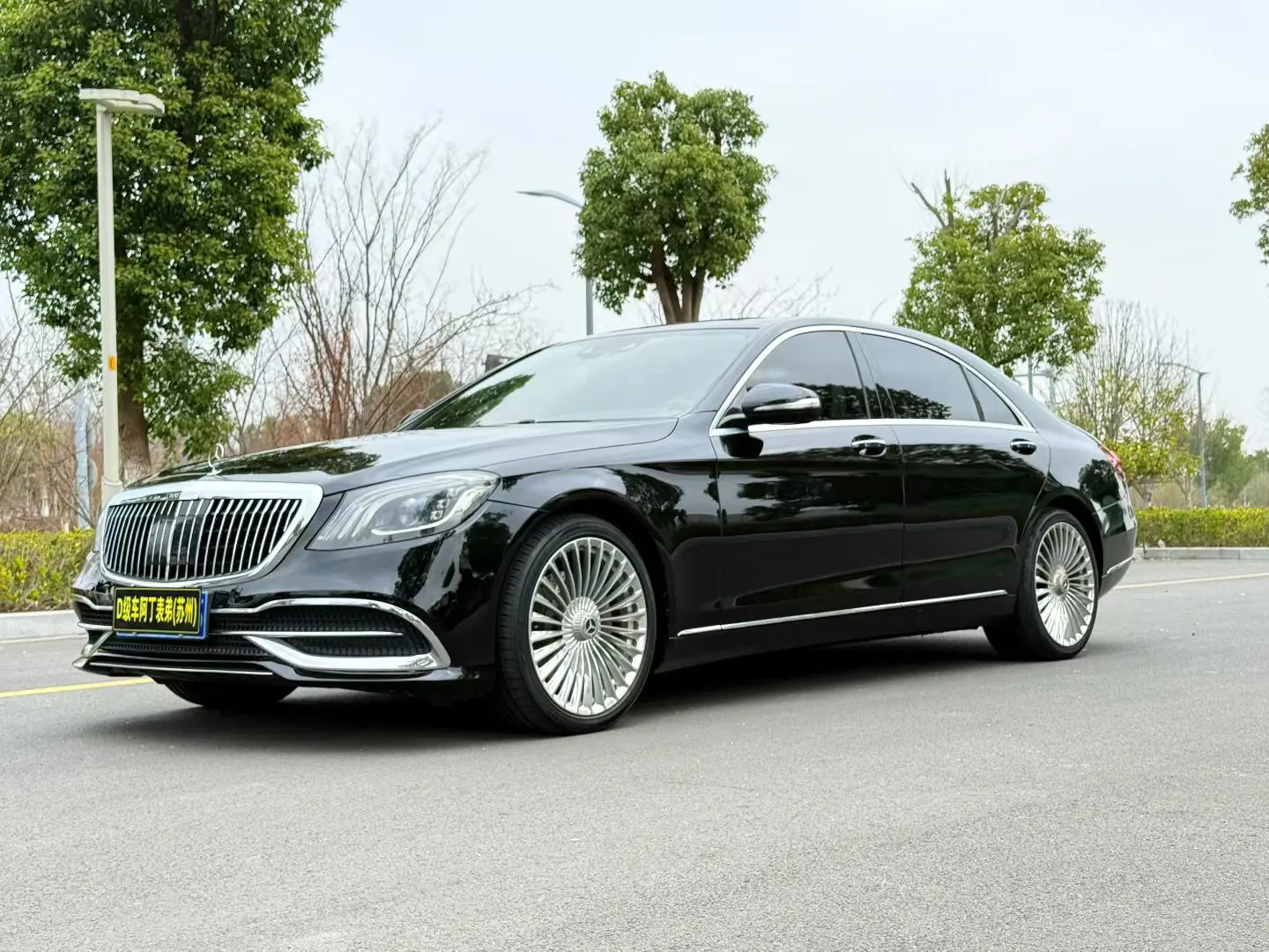 Mercedes-Benz Mercedes Benz S Class  из Китая