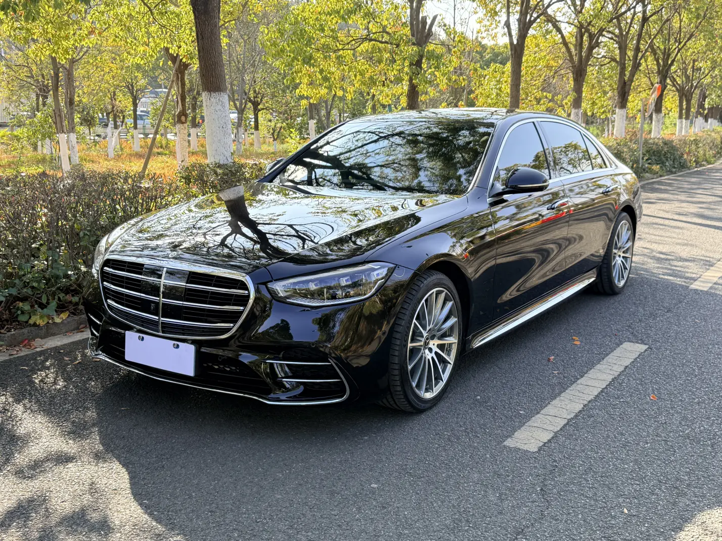 Mercedes-Benz Mercedes Benz S Class