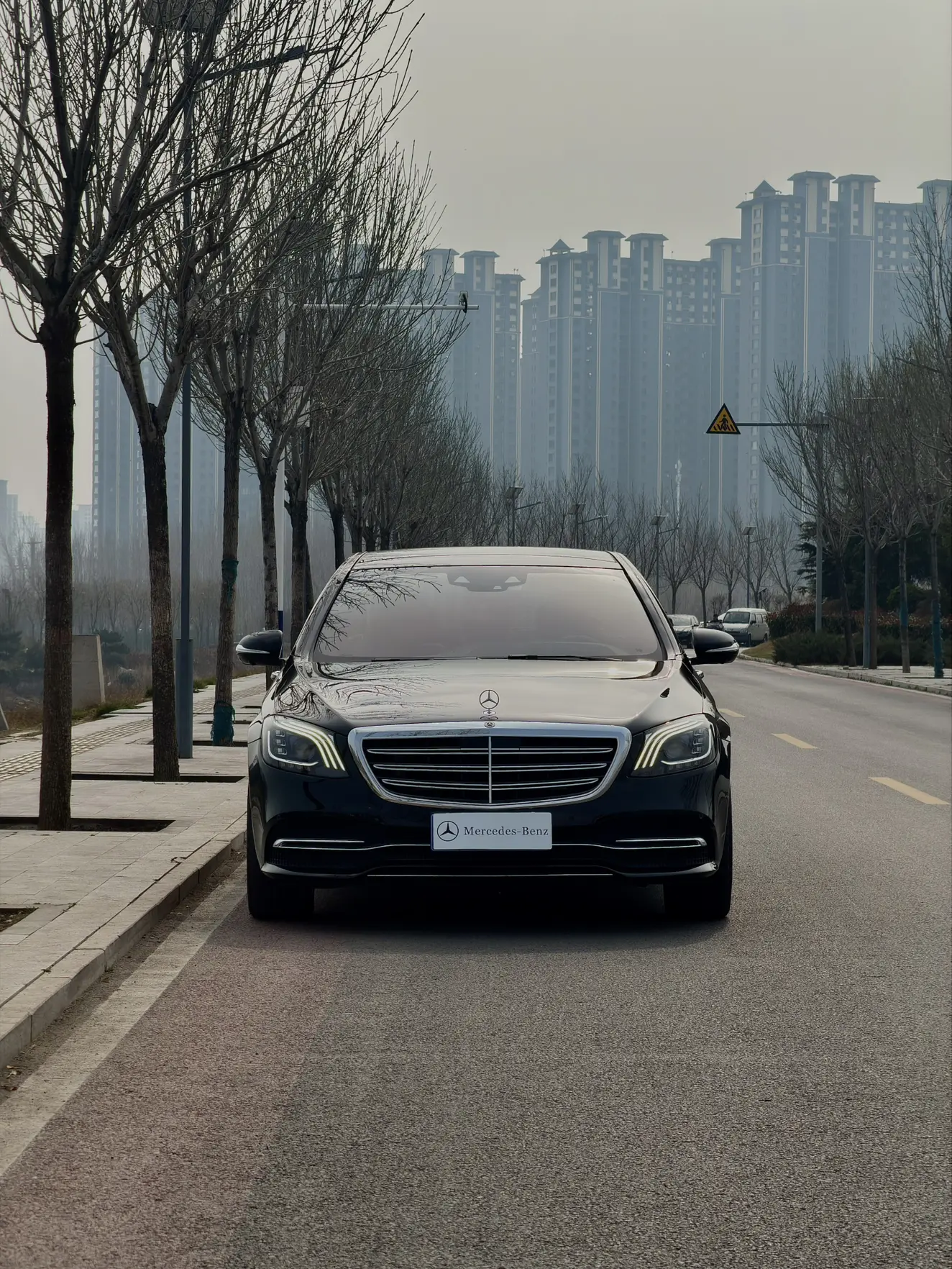 Mercedes-Benz Mercedes Benz S Class  из Китая