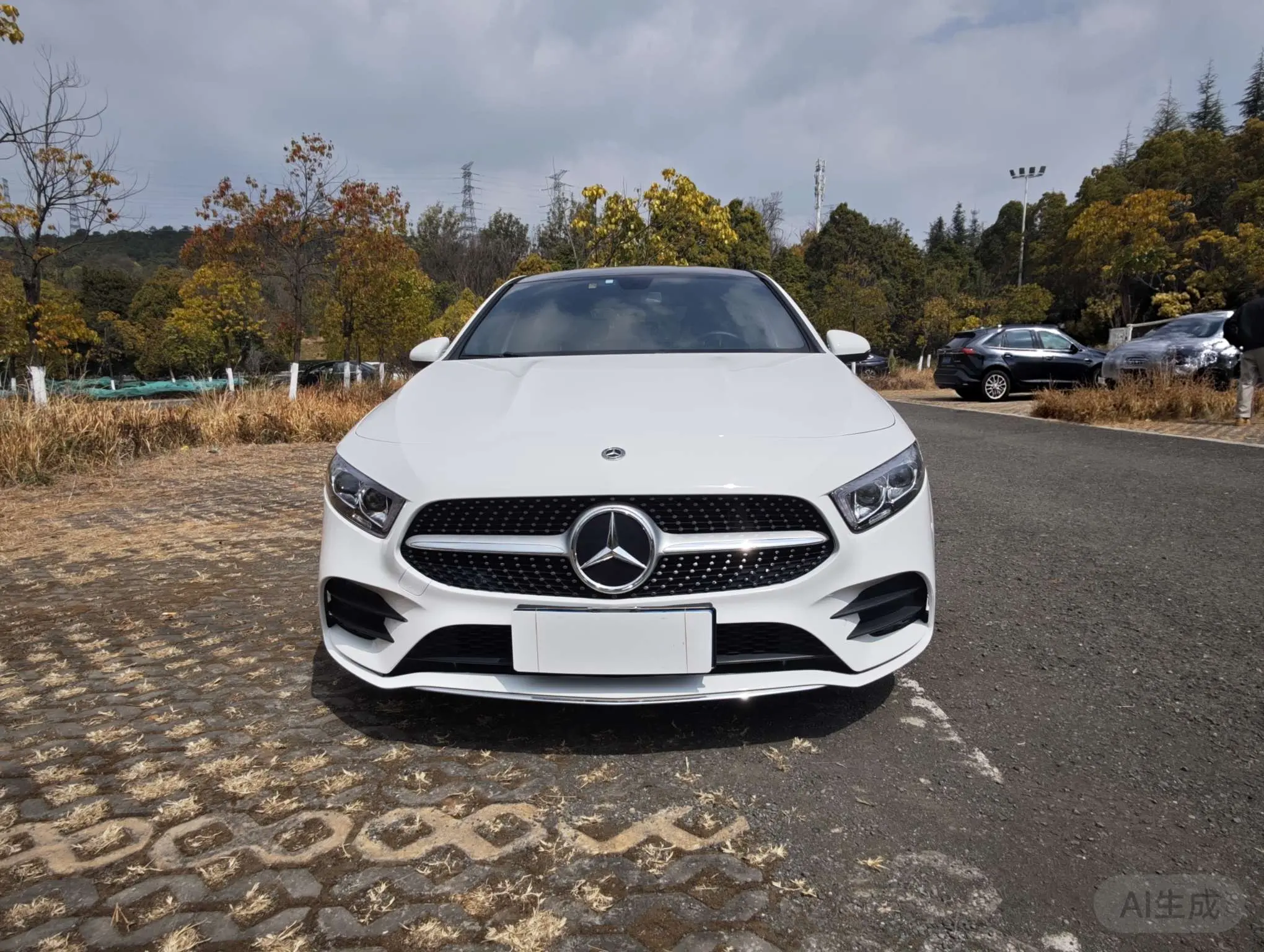 Mercedes-Benz Mercedes Benz A Class  из Китая