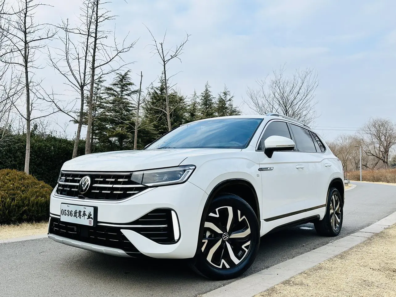 Volkswagen Tayron GTE  из Китая