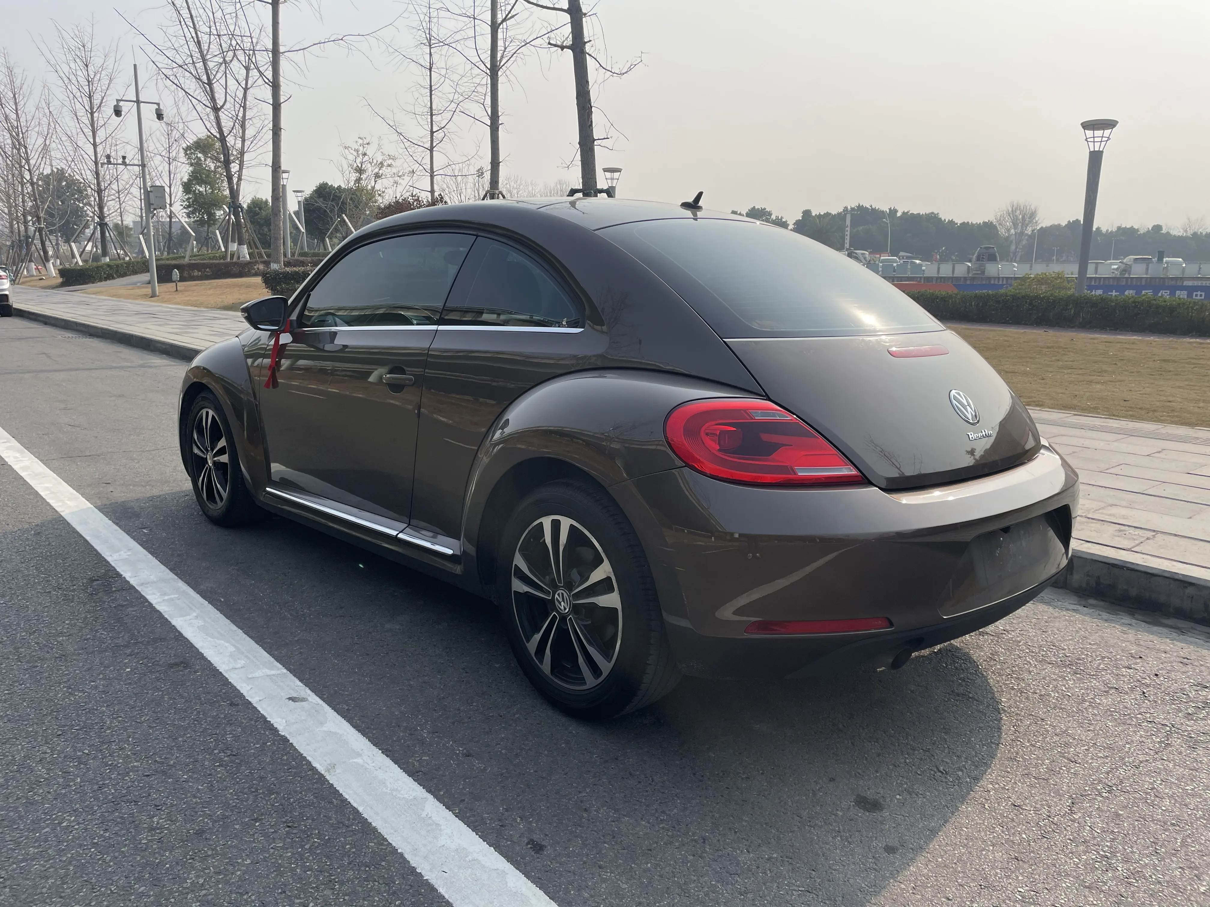 Volkswagen Beetle  из Китая