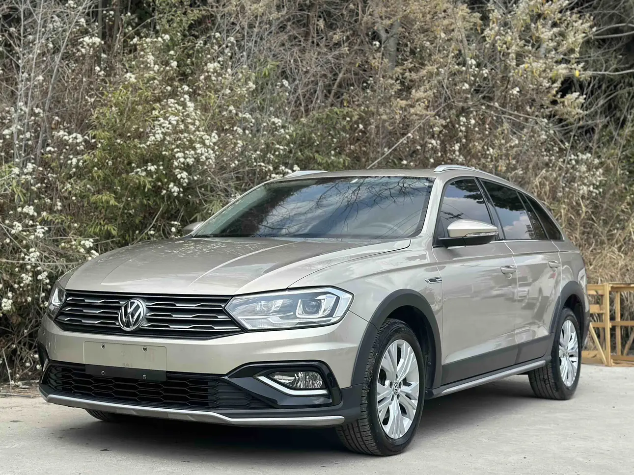 Volkswagen C-TREK Weiling  из Китая