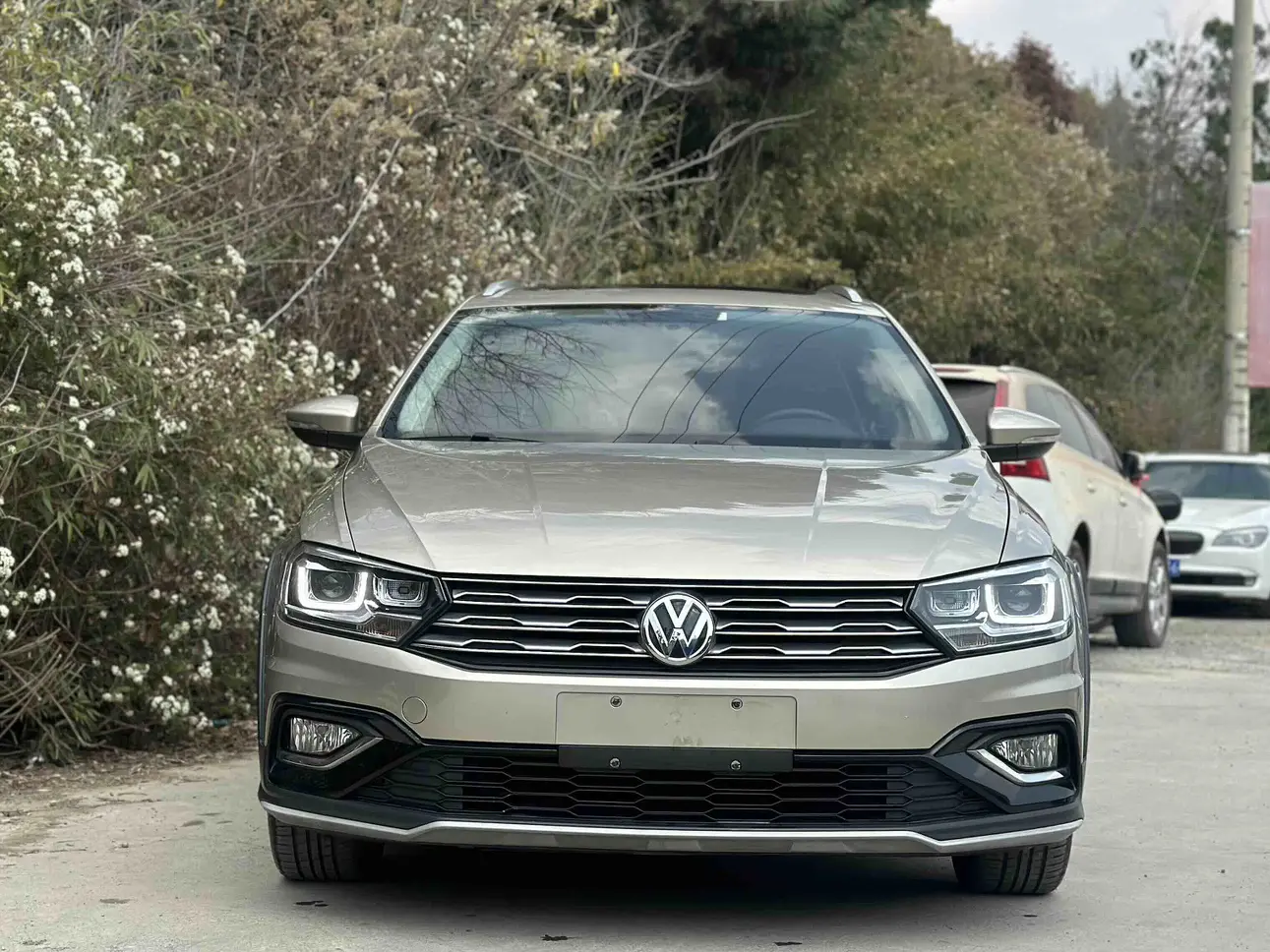 Volkswagen C-TREK Weiling  из Китая