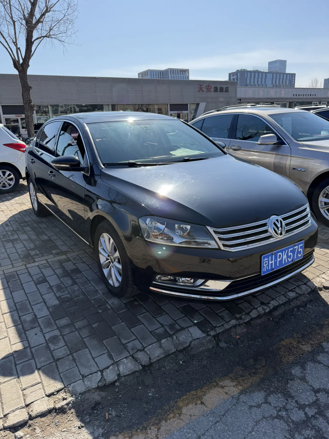 Volkswagen Magotan  из Китая