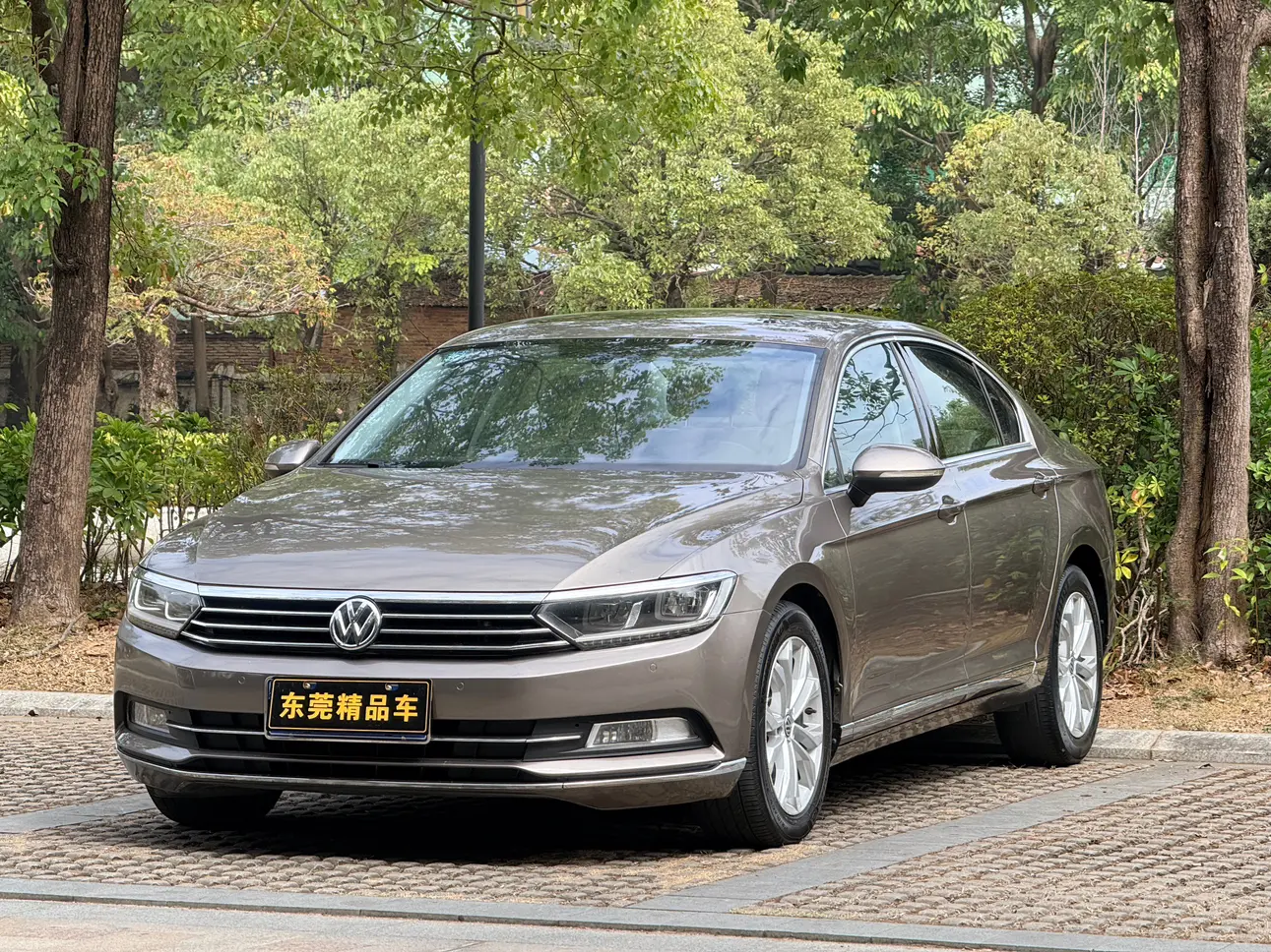 Volkswagen Magotan  из Китая