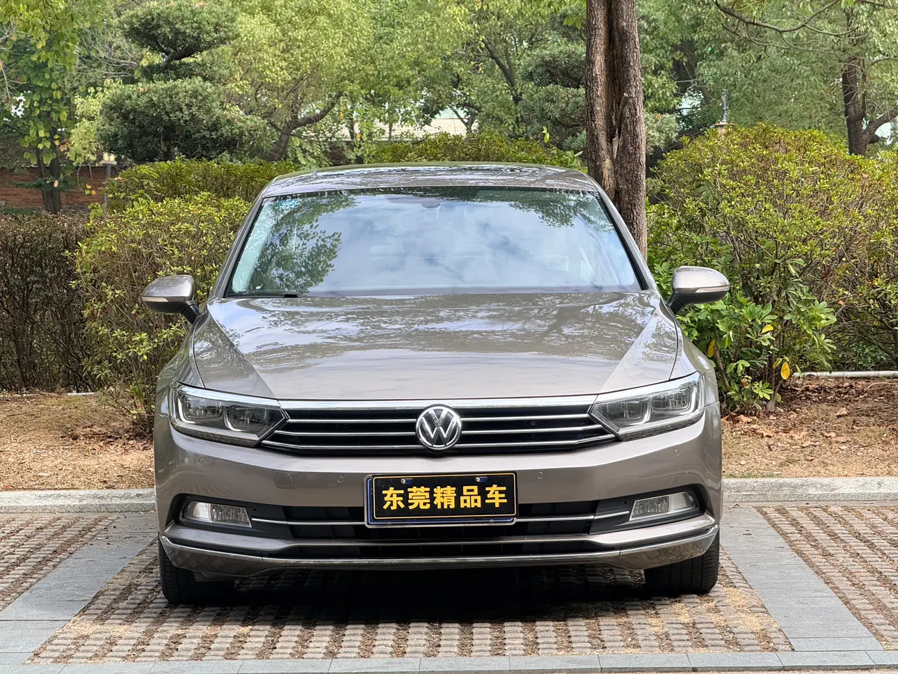 Volkswagen Magotan  из Китая