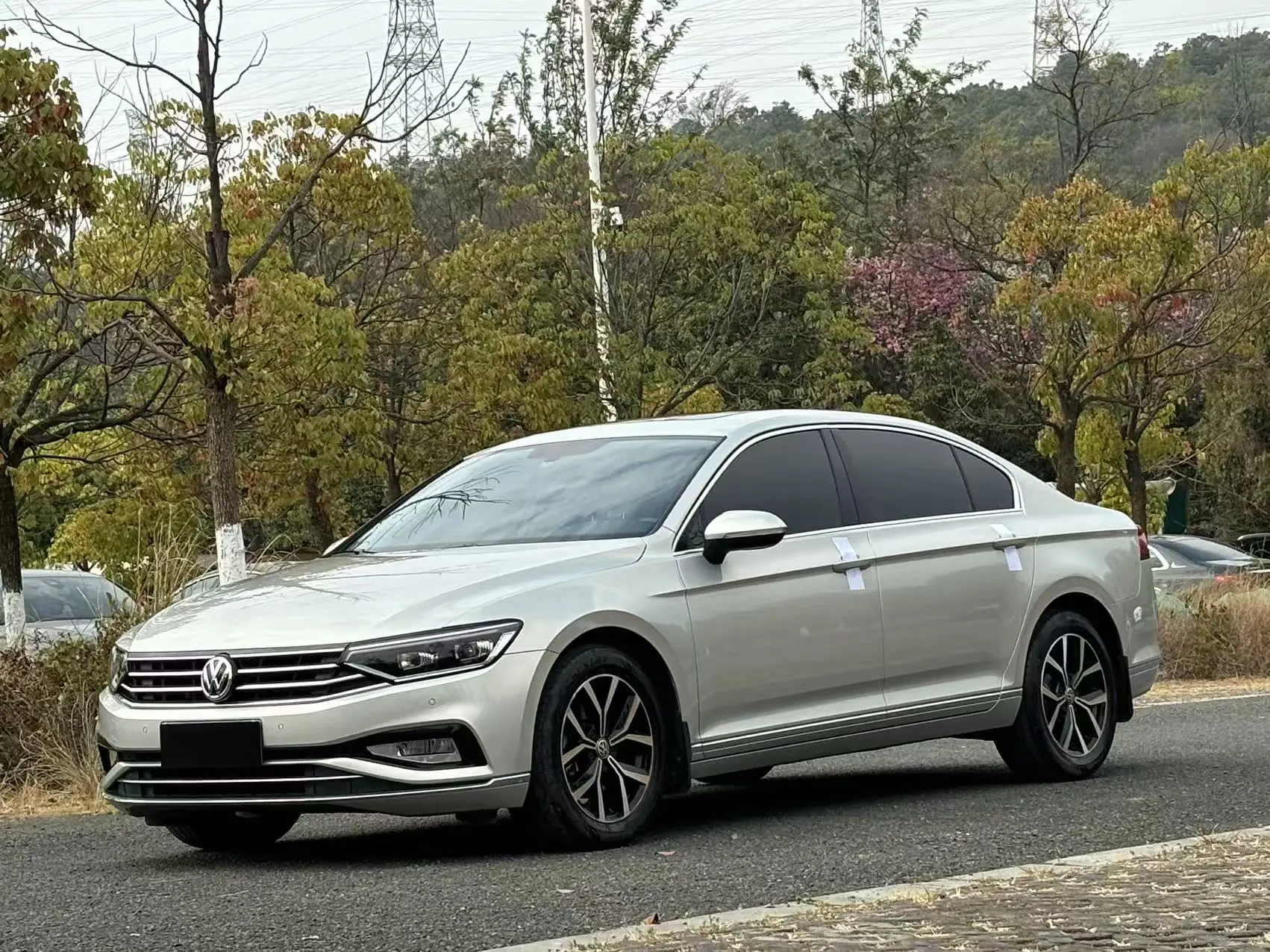 Volkswagen Magotan  из Китая