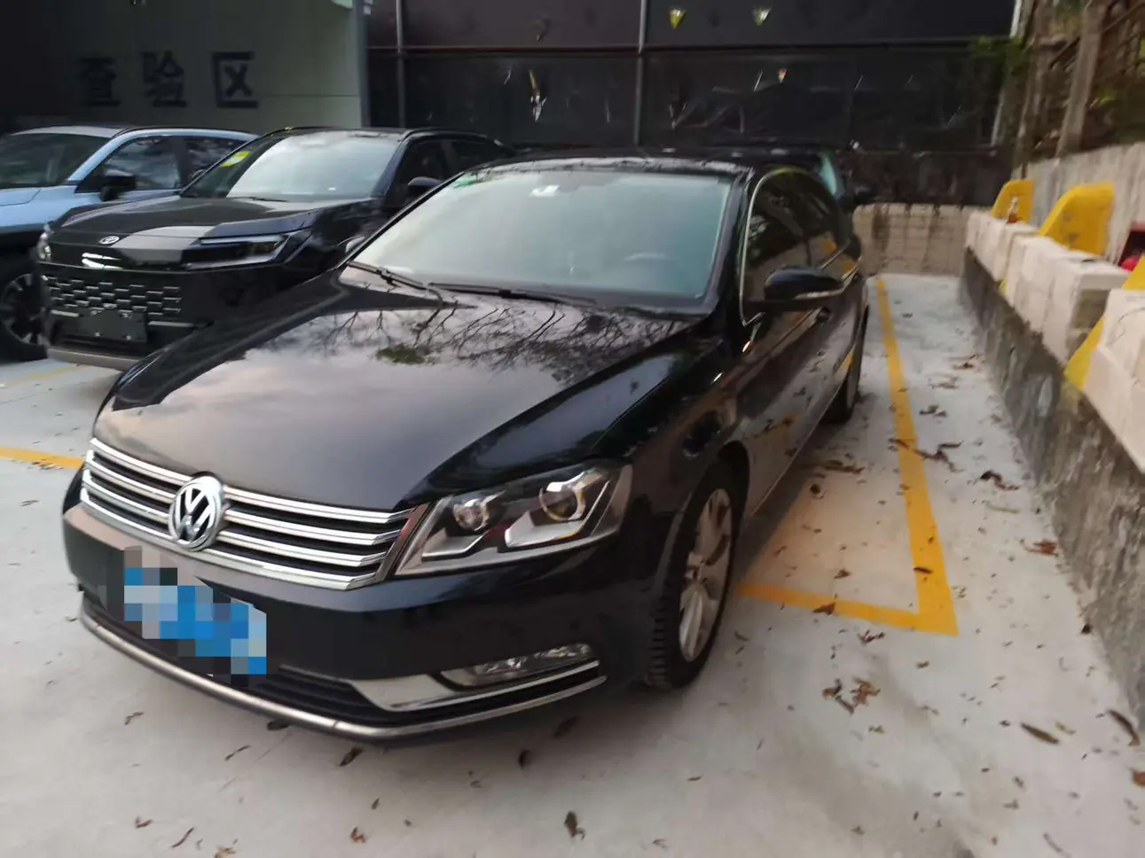 Volkswagen Magotan  из Китая