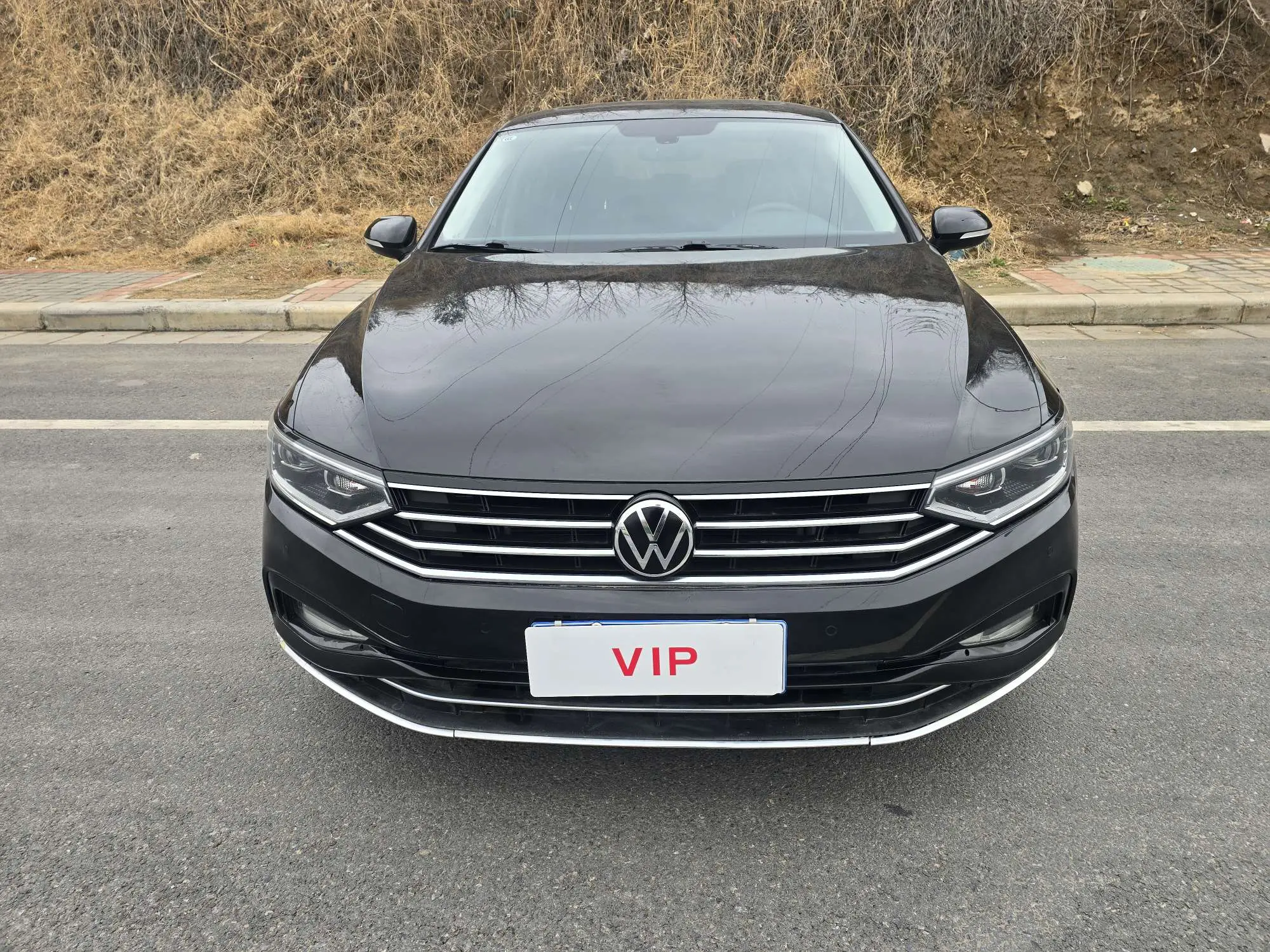 Volkswagen Magotan  из Китая