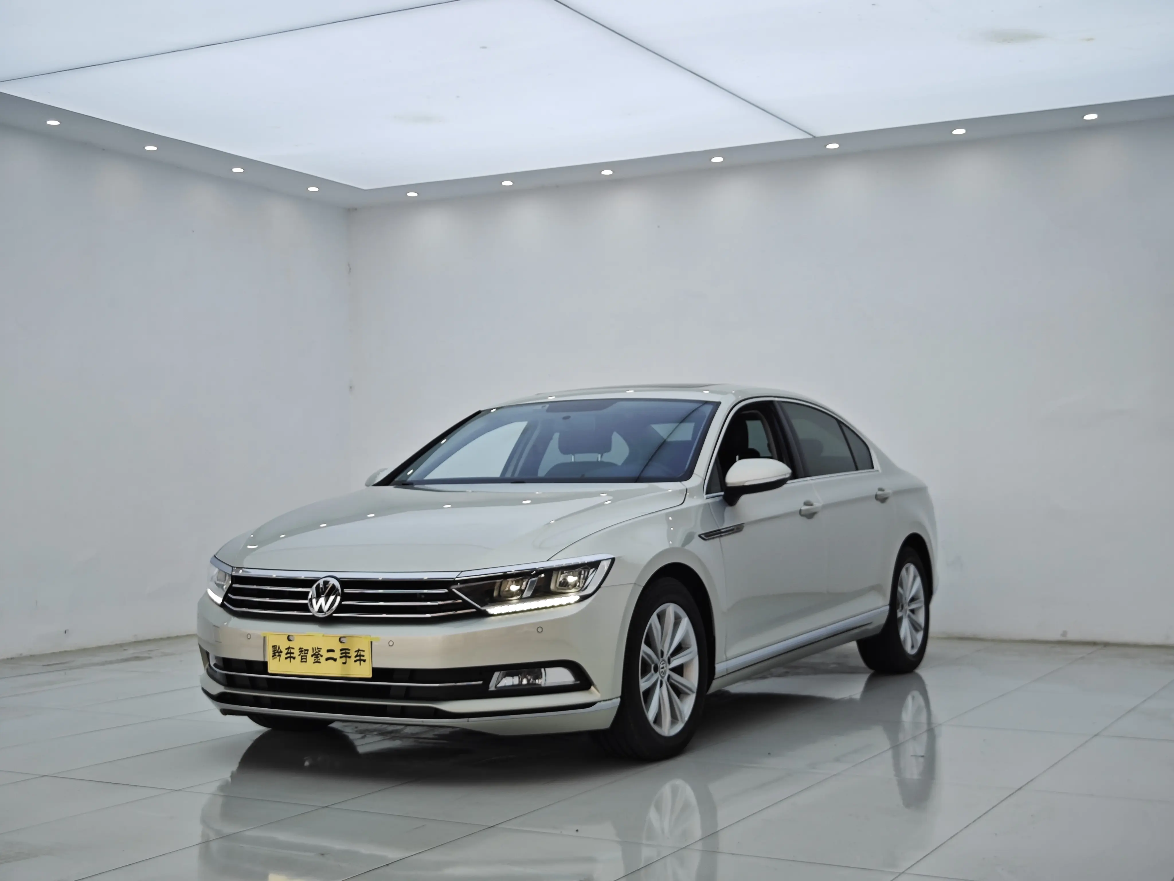 Volkswagen Magotan  из Китая