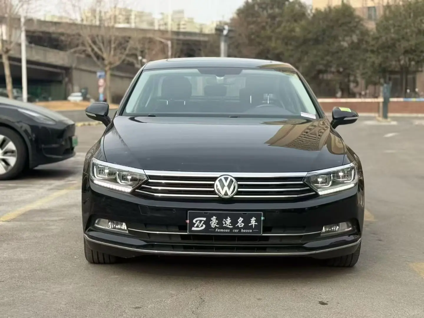 Volkswagen Magotan  из Китая
