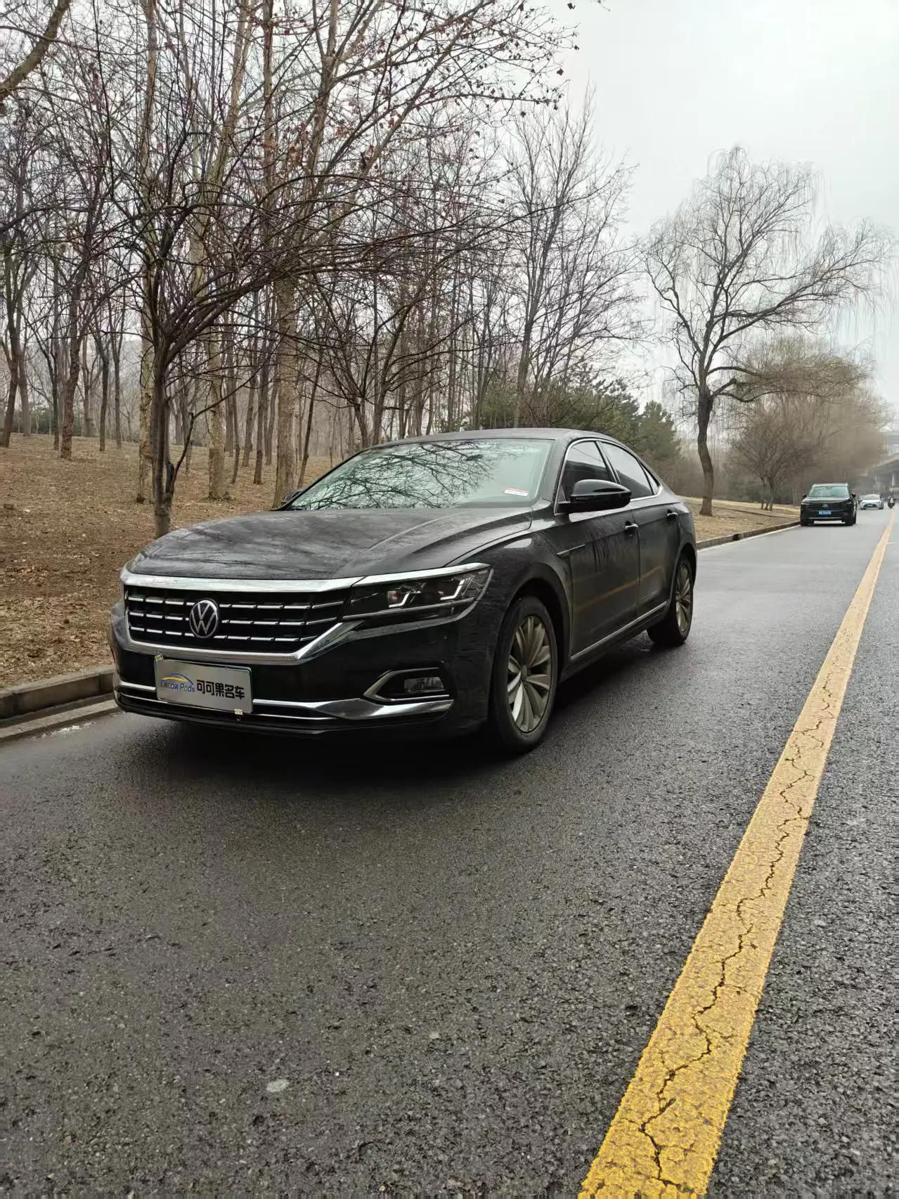 Volkswagen Passat  из Китая