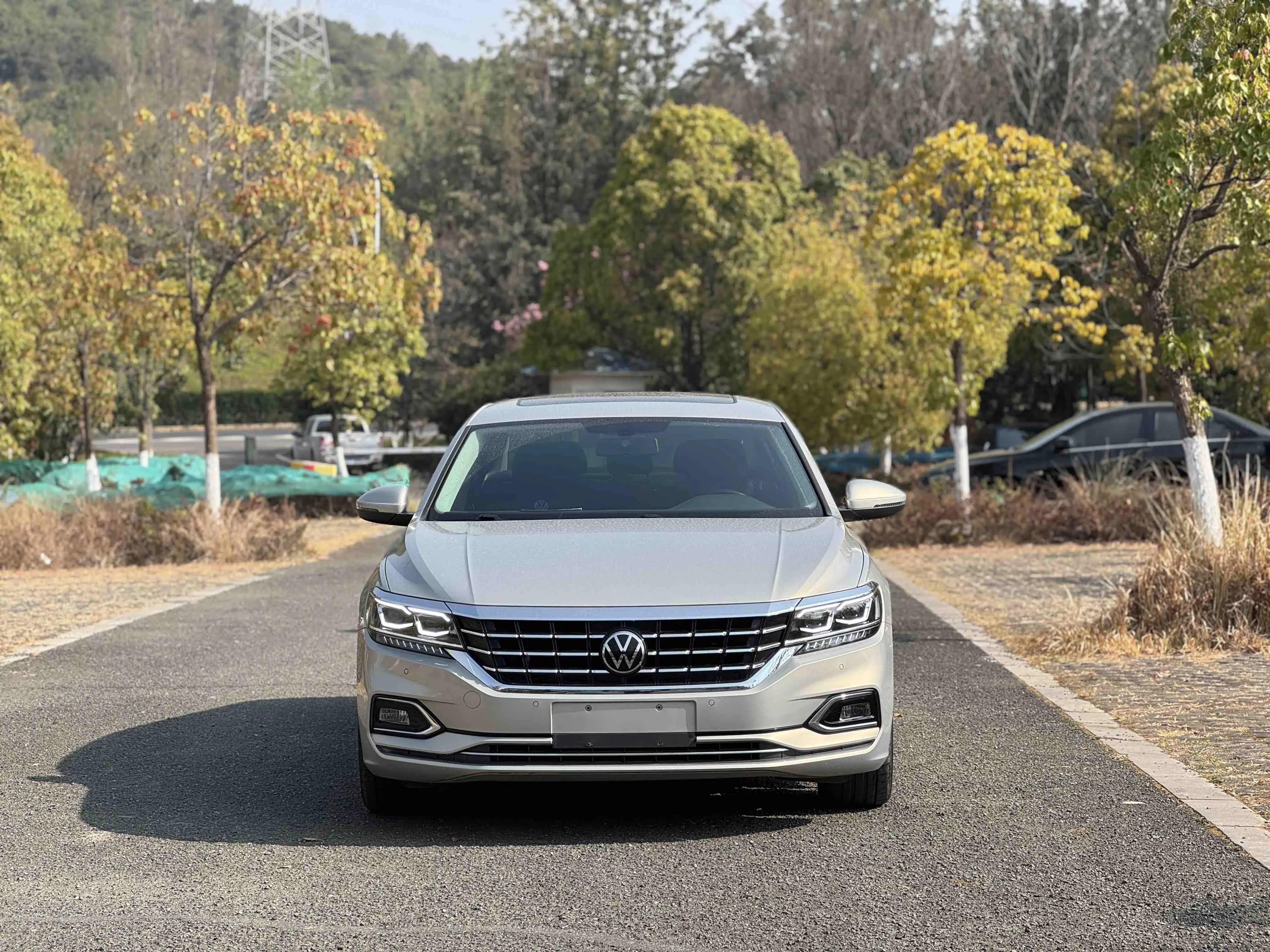 Volkswagen Passat  из Китая