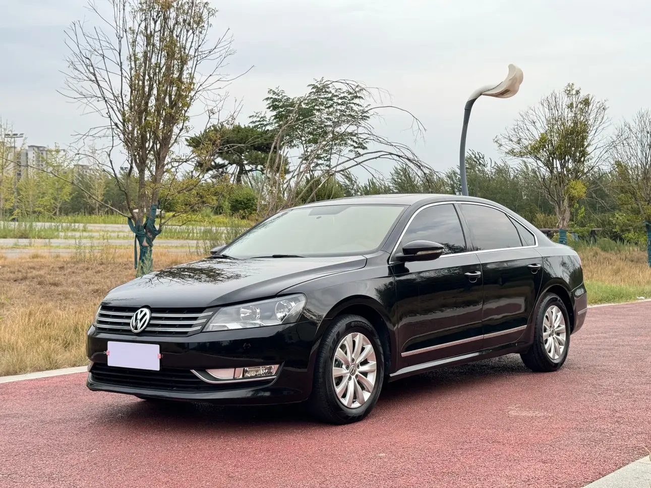 Volkswagen Passat  из Китая