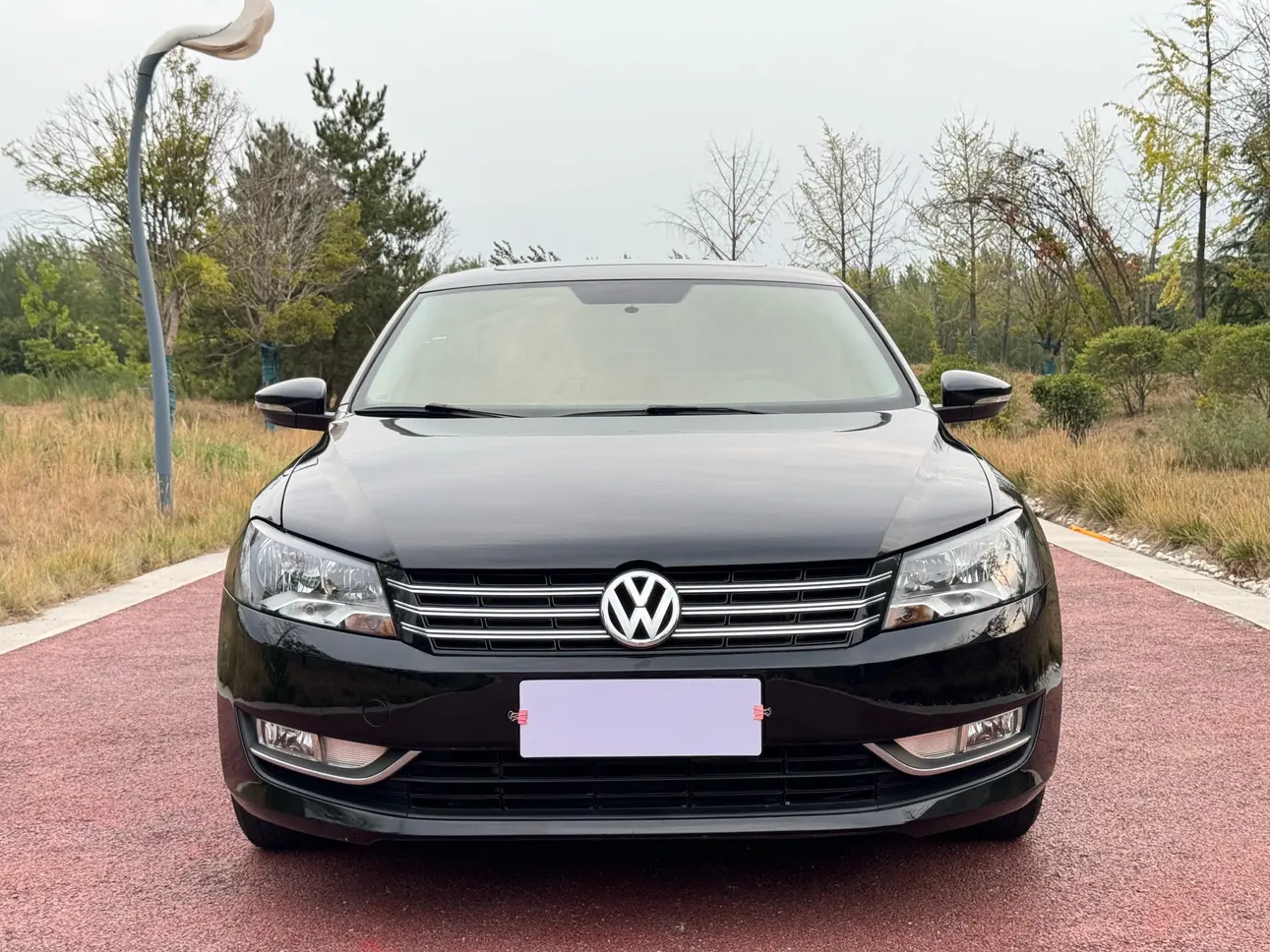 Volkswagen Passat  из Китая