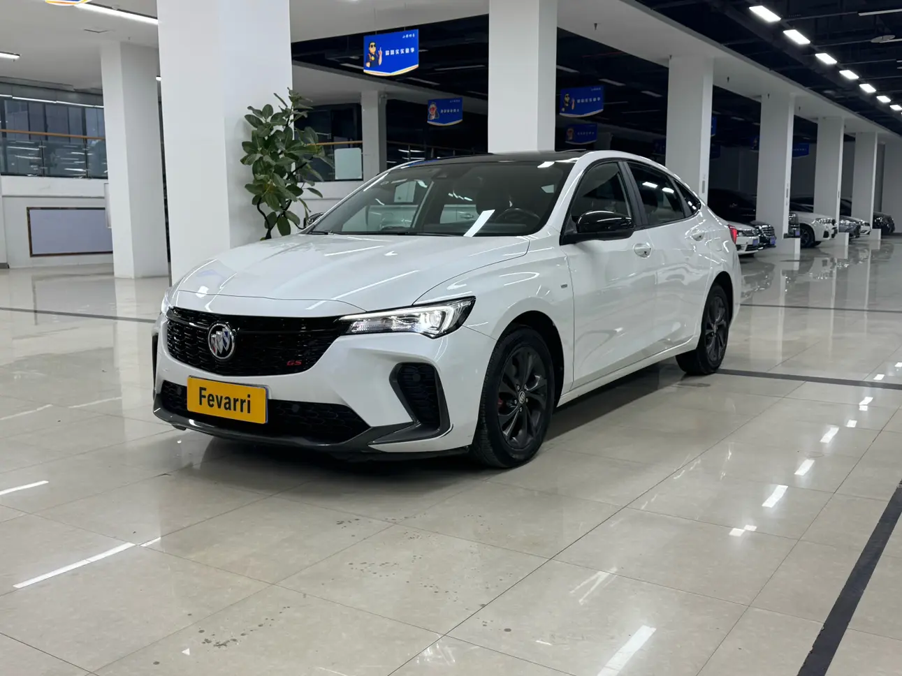 Buick Valeant