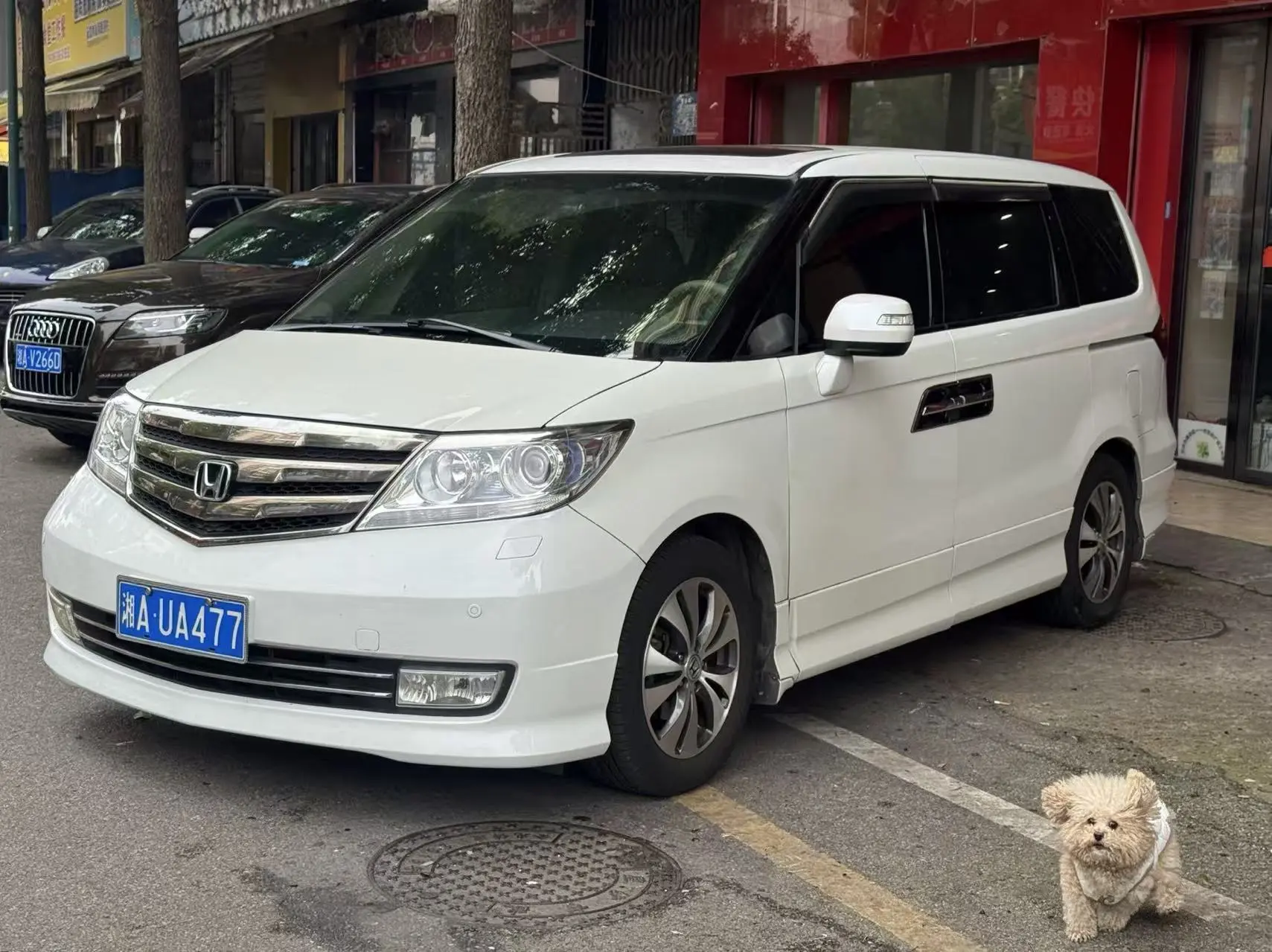 Honda Elysion (Alison)  из Китая