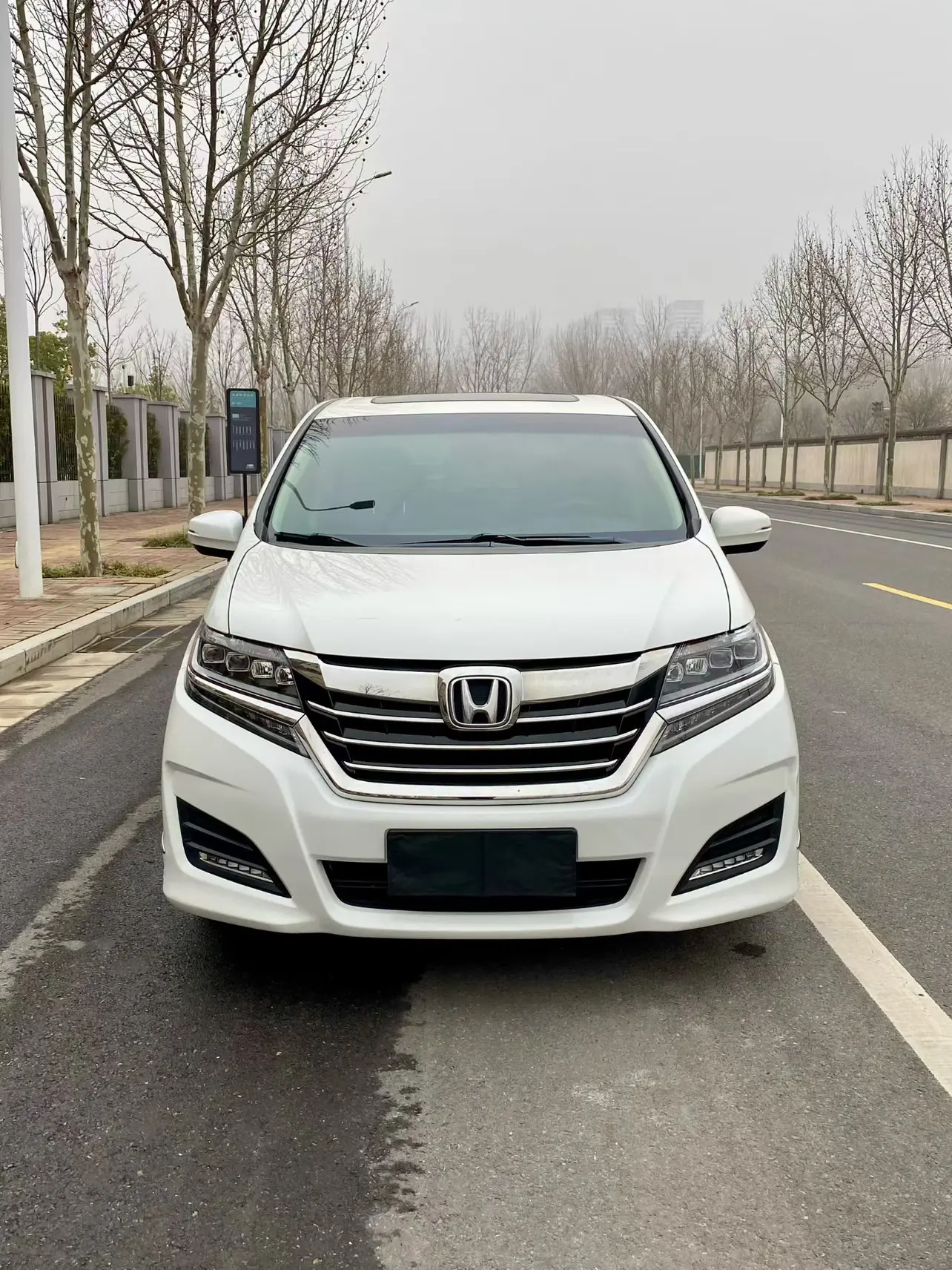 Honda Elysion (Alison)  из Китая