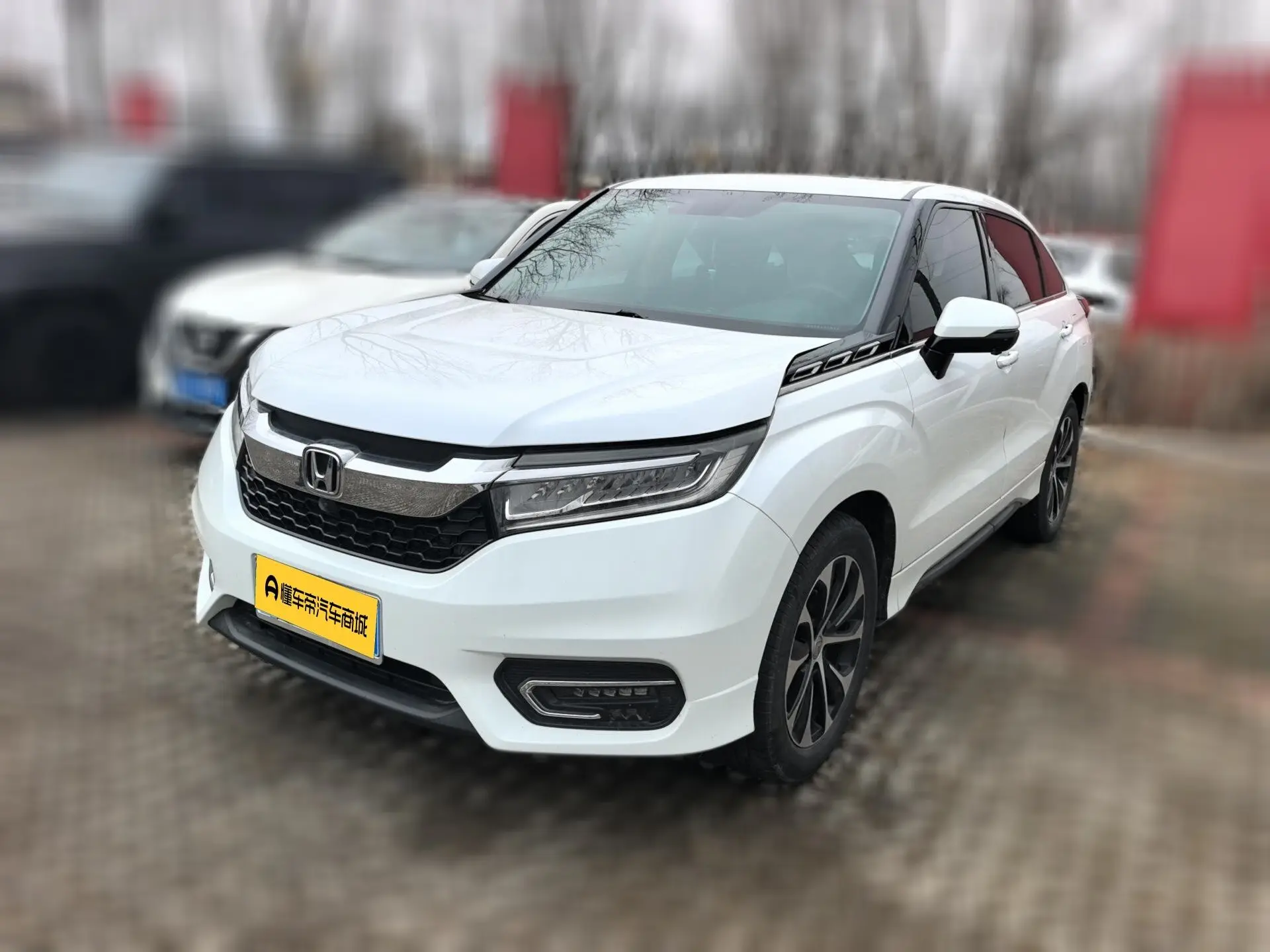 Honda Avancier (Crown Road)  из Китая