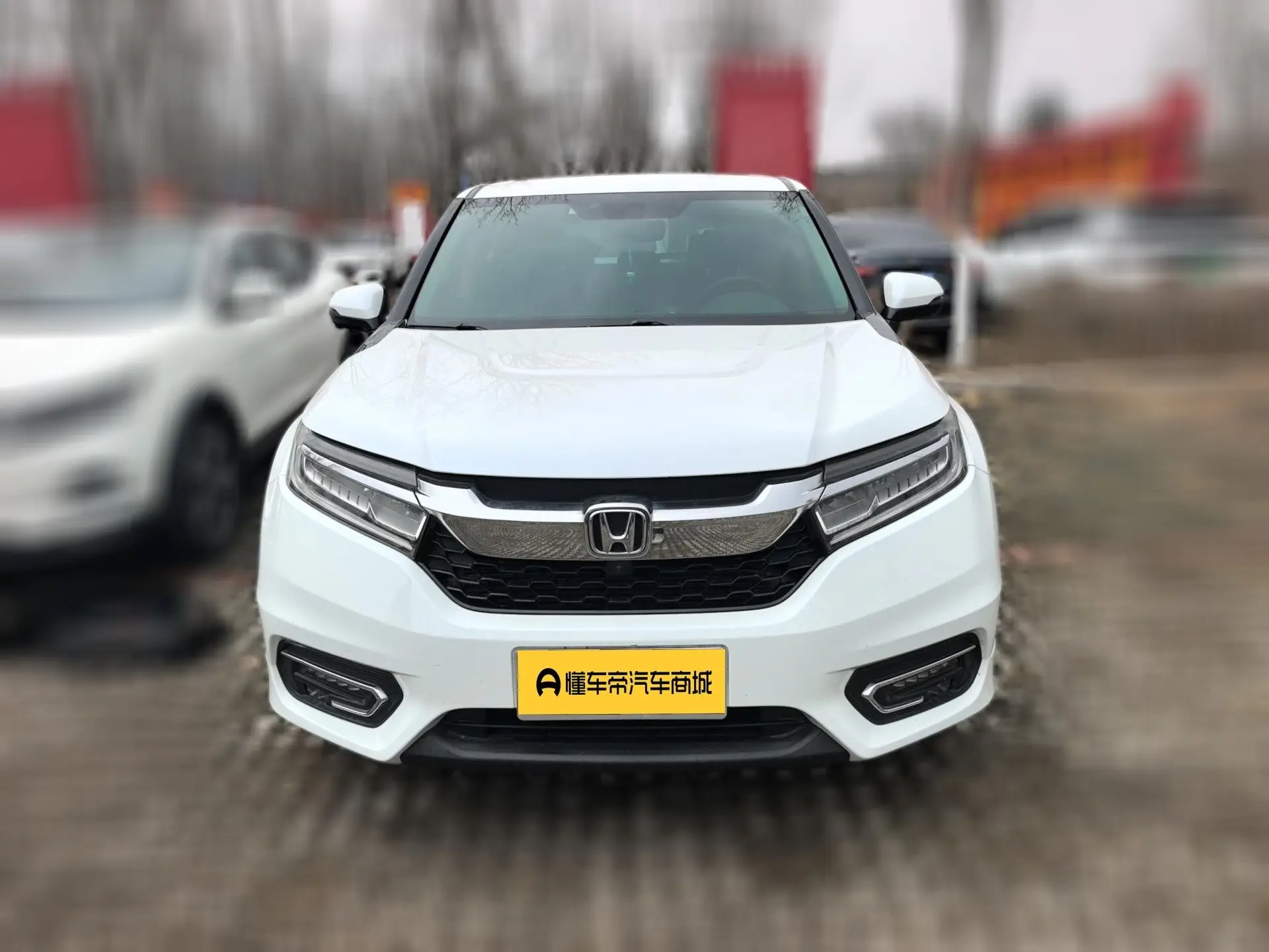 Honda Avancier (Crown Road)  из Китая