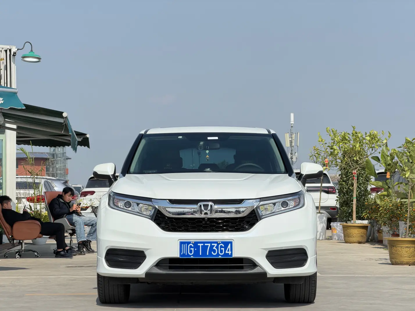 Honda Avancier (Crown Road)  из Китая