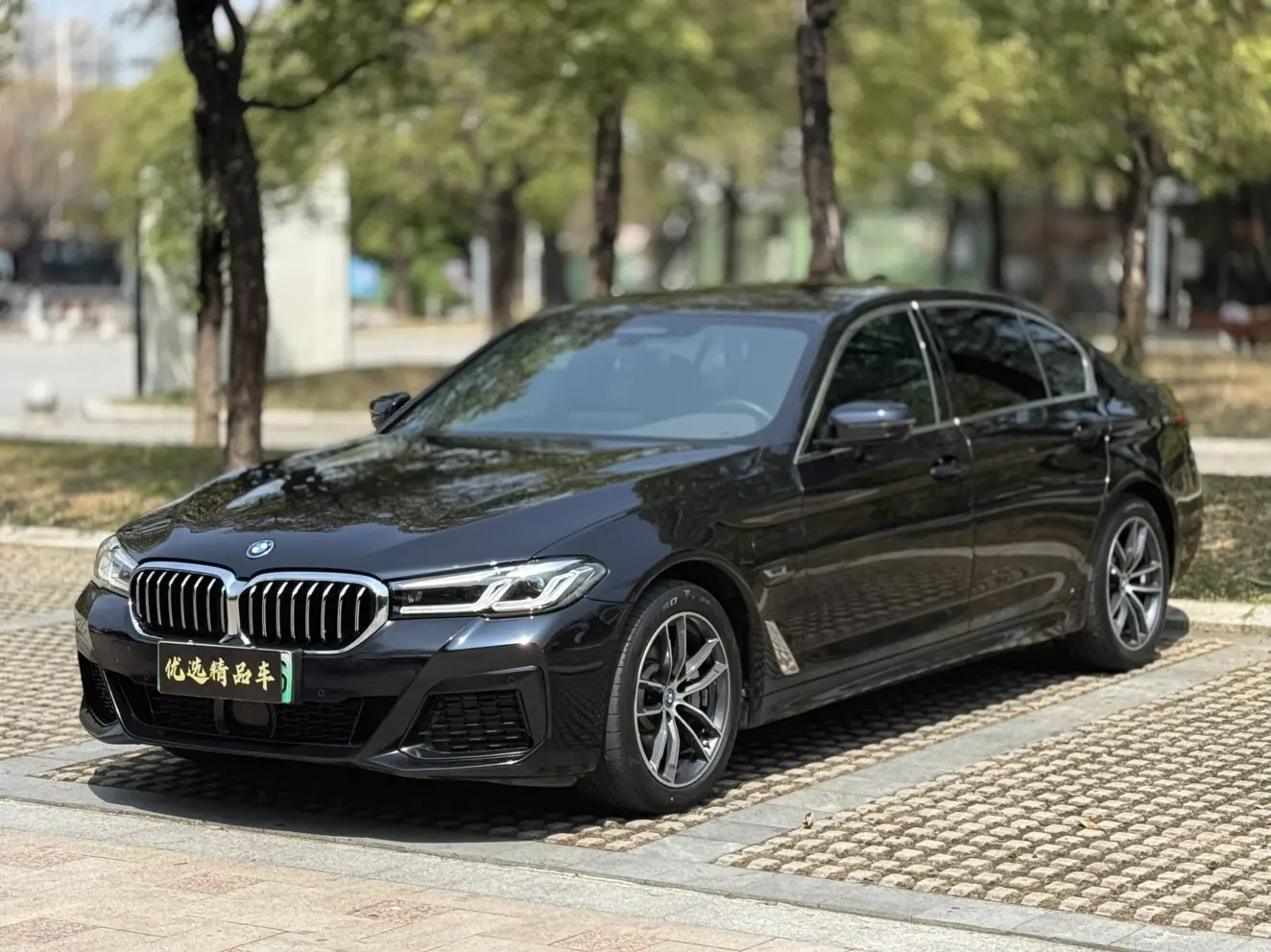BMW 5 Series PHEV