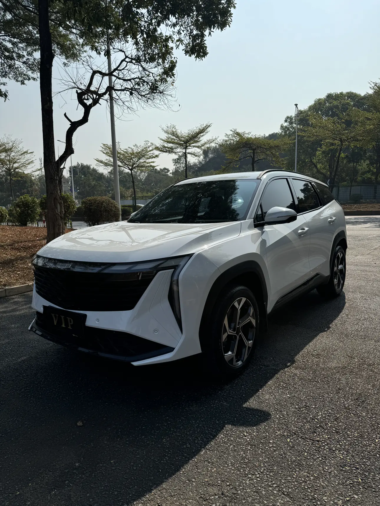 Geely Atlas L (Boyue L)  из Китая