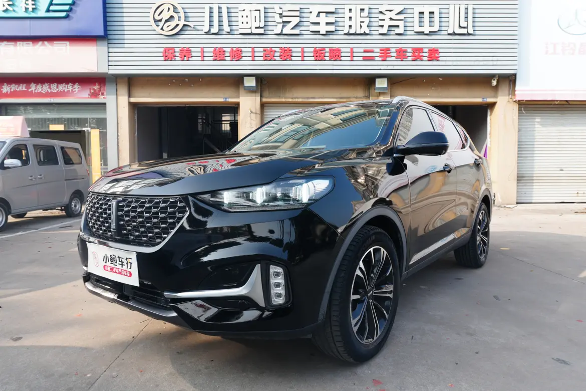 Wey Wei brand VV6