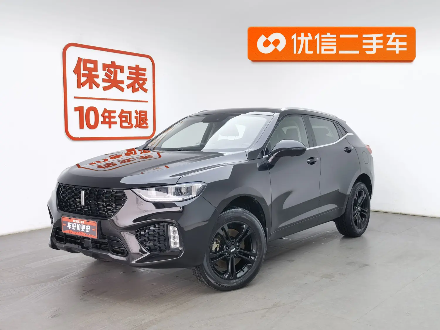 Wey Wei brand VV5