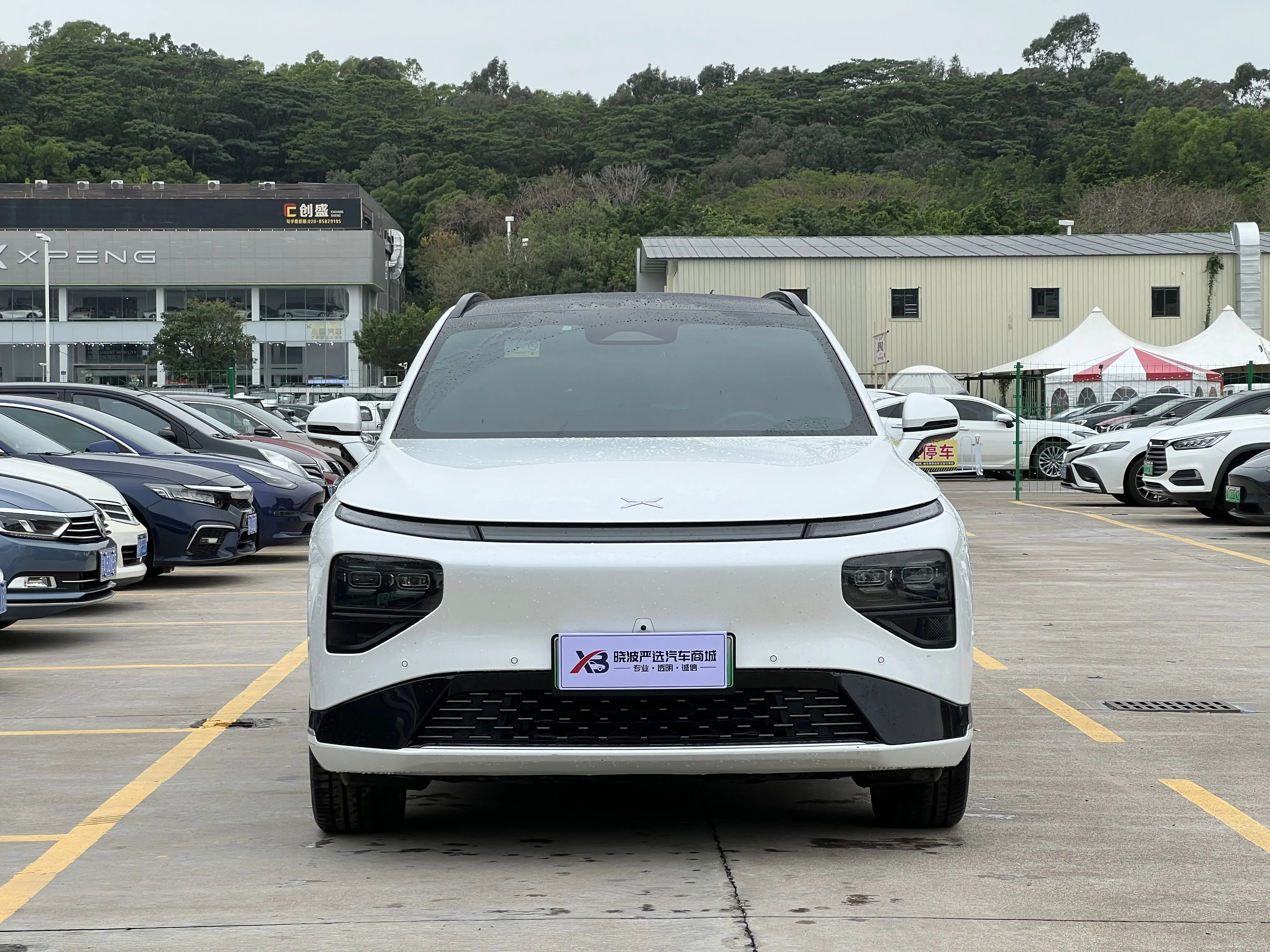 Xpeng G9  из Китая