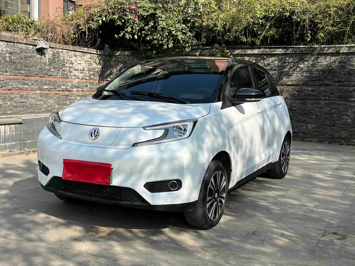 Electric House YOUNG Guang Xiaoxin  из Китая