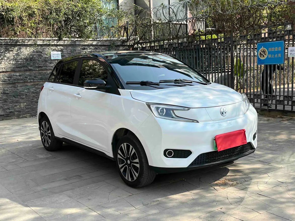 Electric House YOUNG Guang Xiaoxin  из Китая