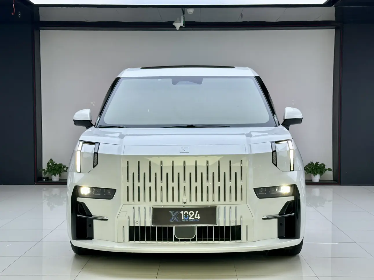 ZEEKR 009  из Китая