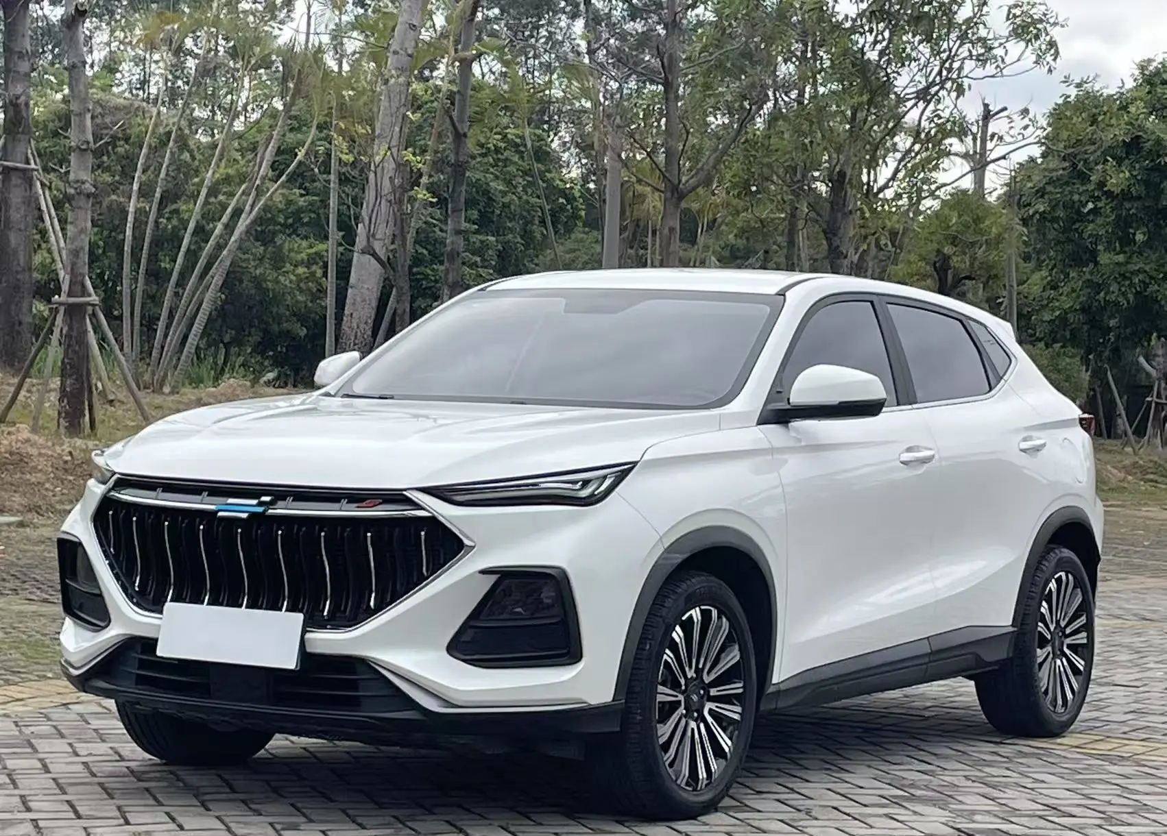 Oshan Changan Auchan X5