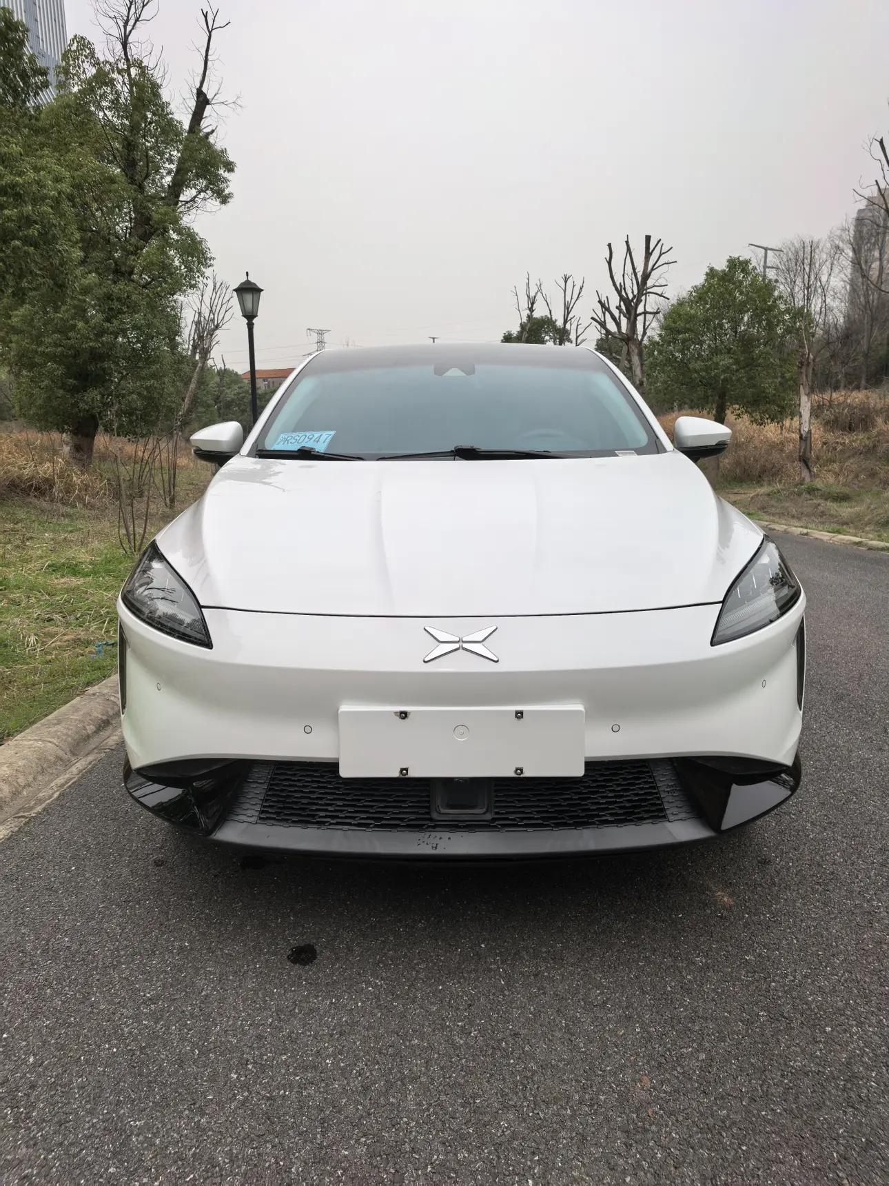 Xpeng G3  из Китая