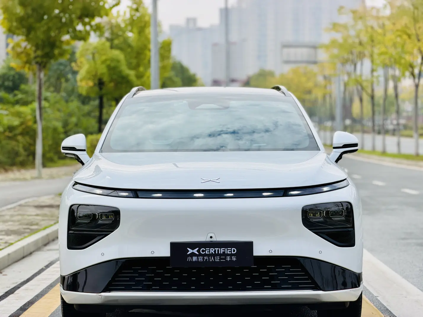 Xpeng G9  из Китая