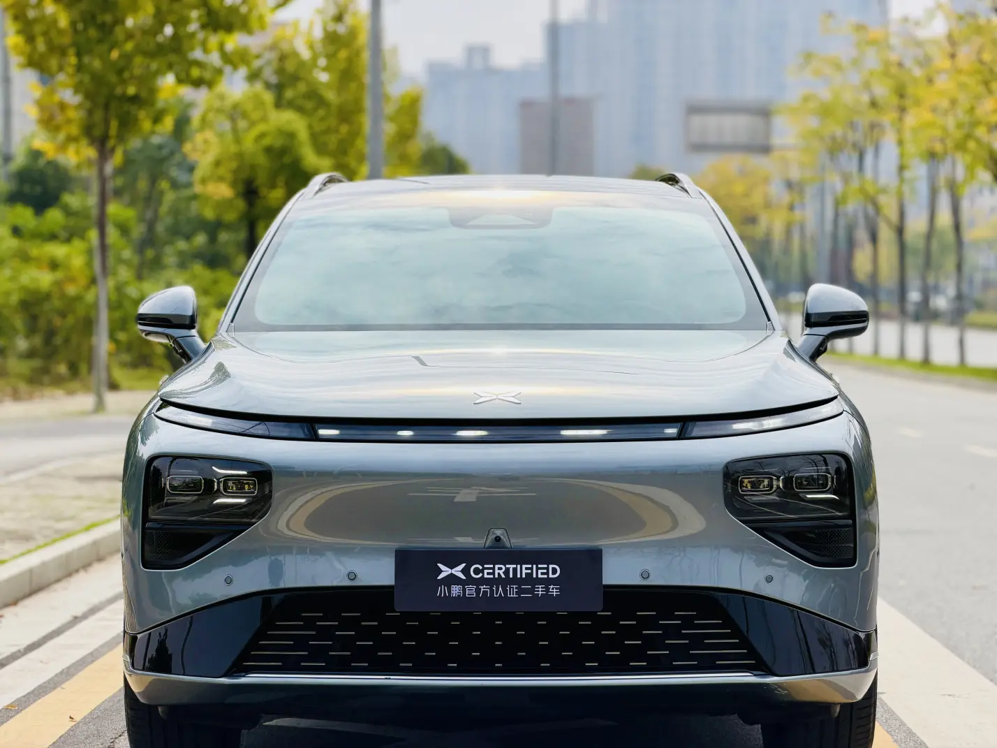 Xpeng G9  из Китая